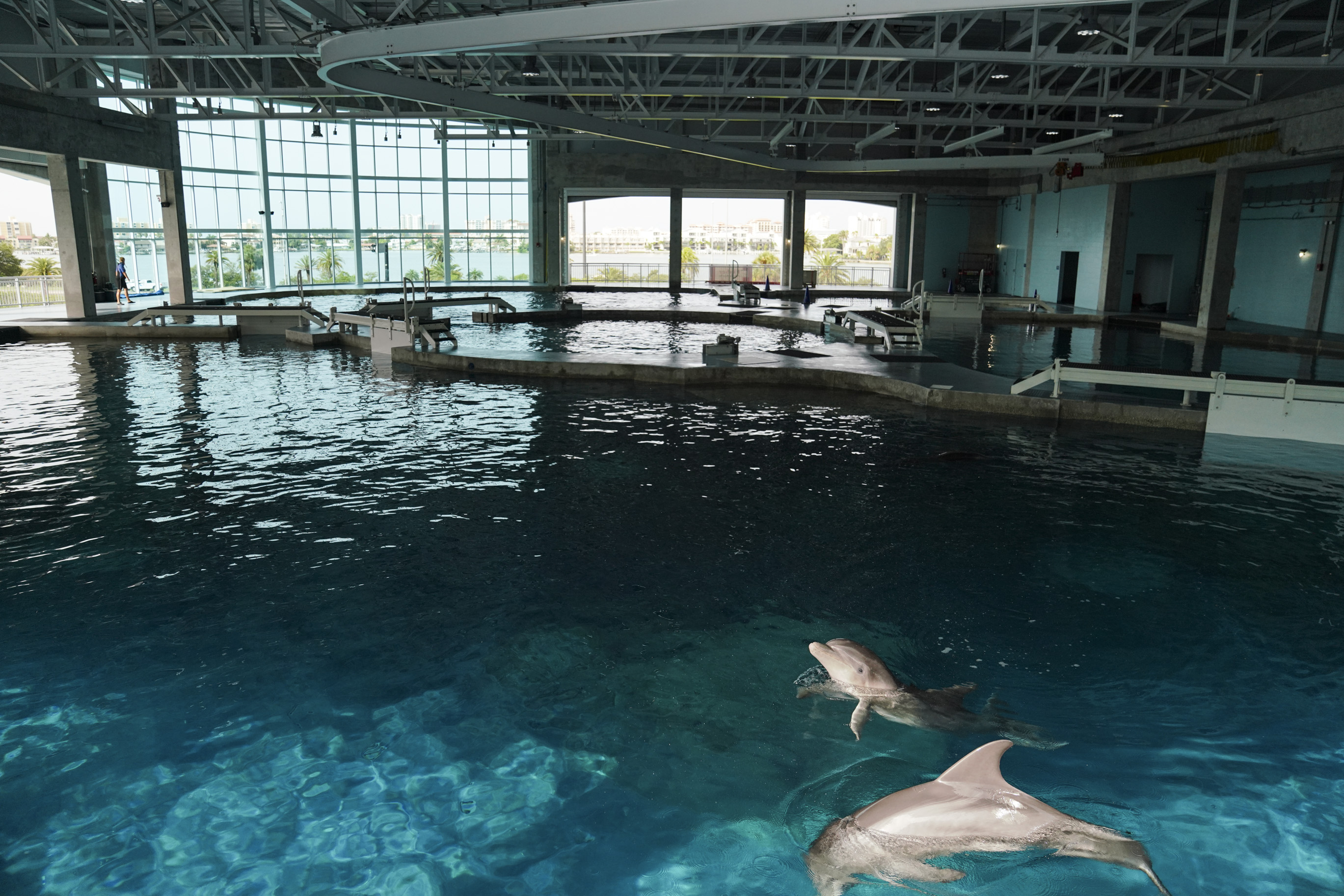 Video of workers changing clothes leads Clearwater aquarium to investigate