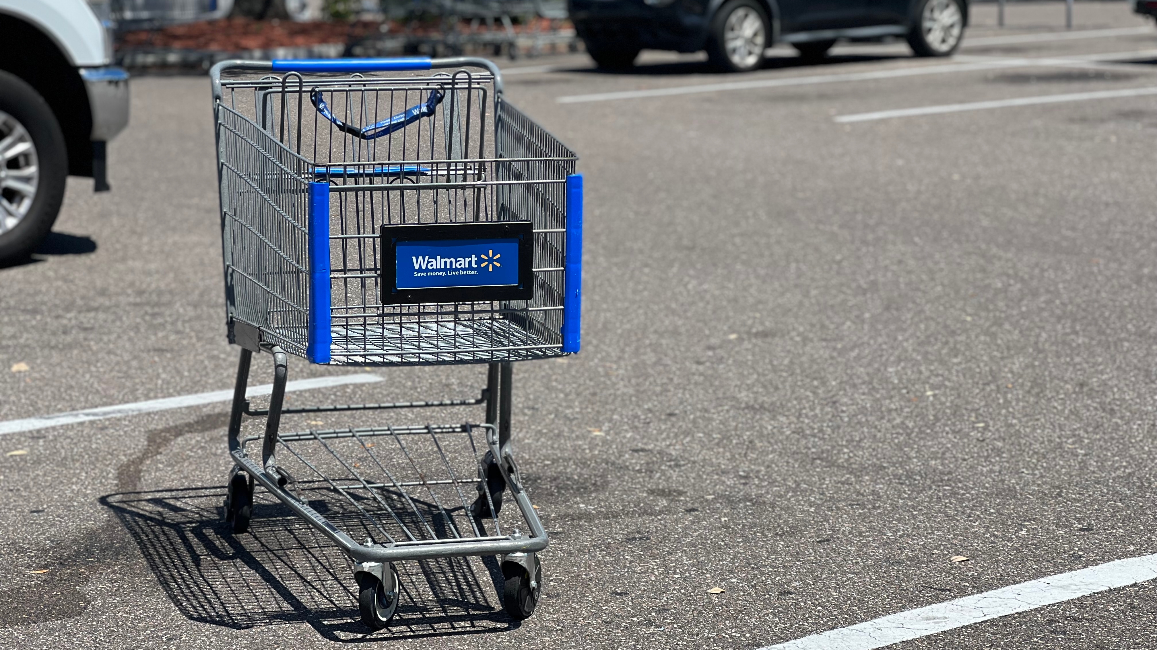 sacred poverty Suri Shopping Cart Theory: Do you return your shopping cart?