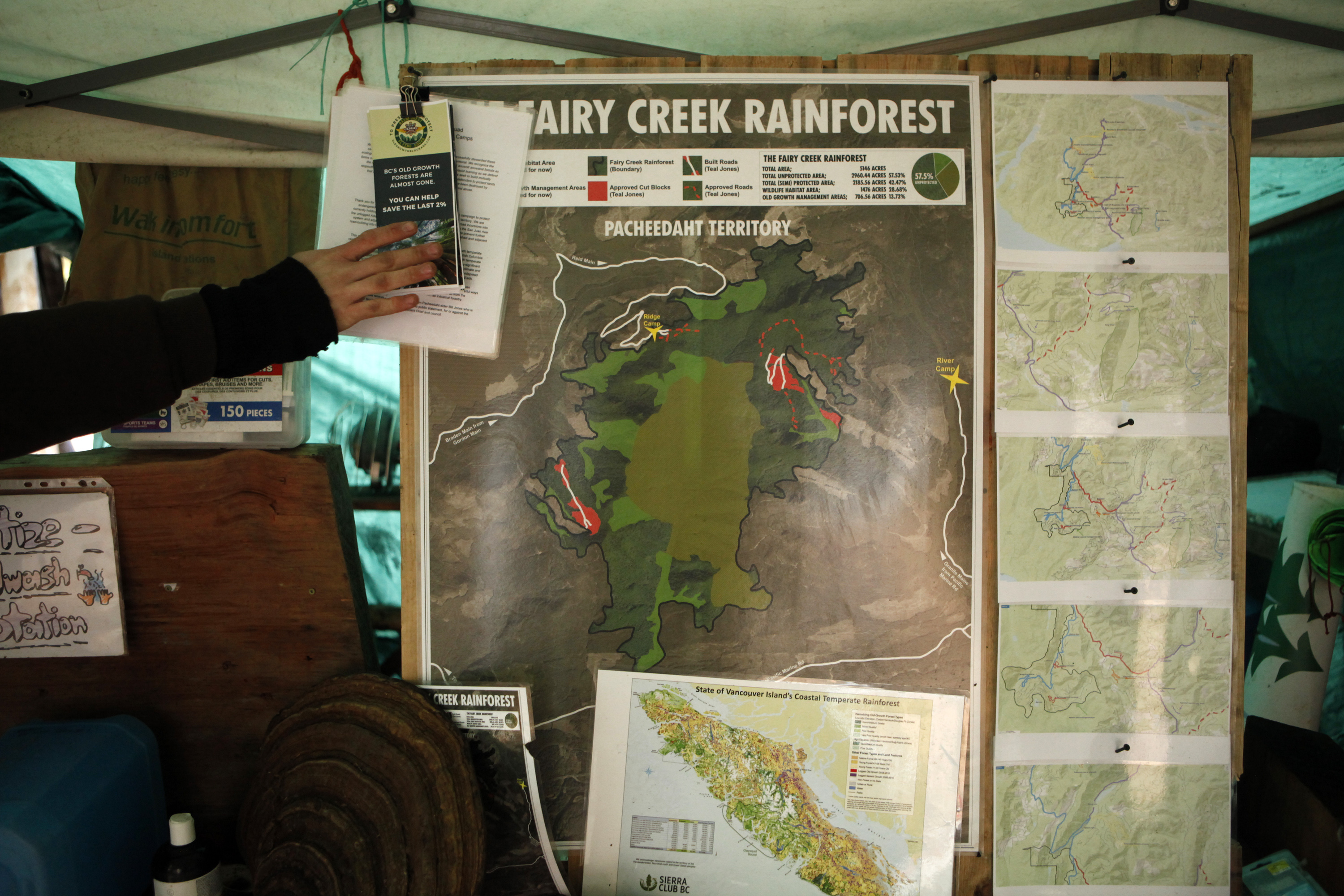 Old-growth forest experts release map urging B.C. to act quickly on logging  deferrals