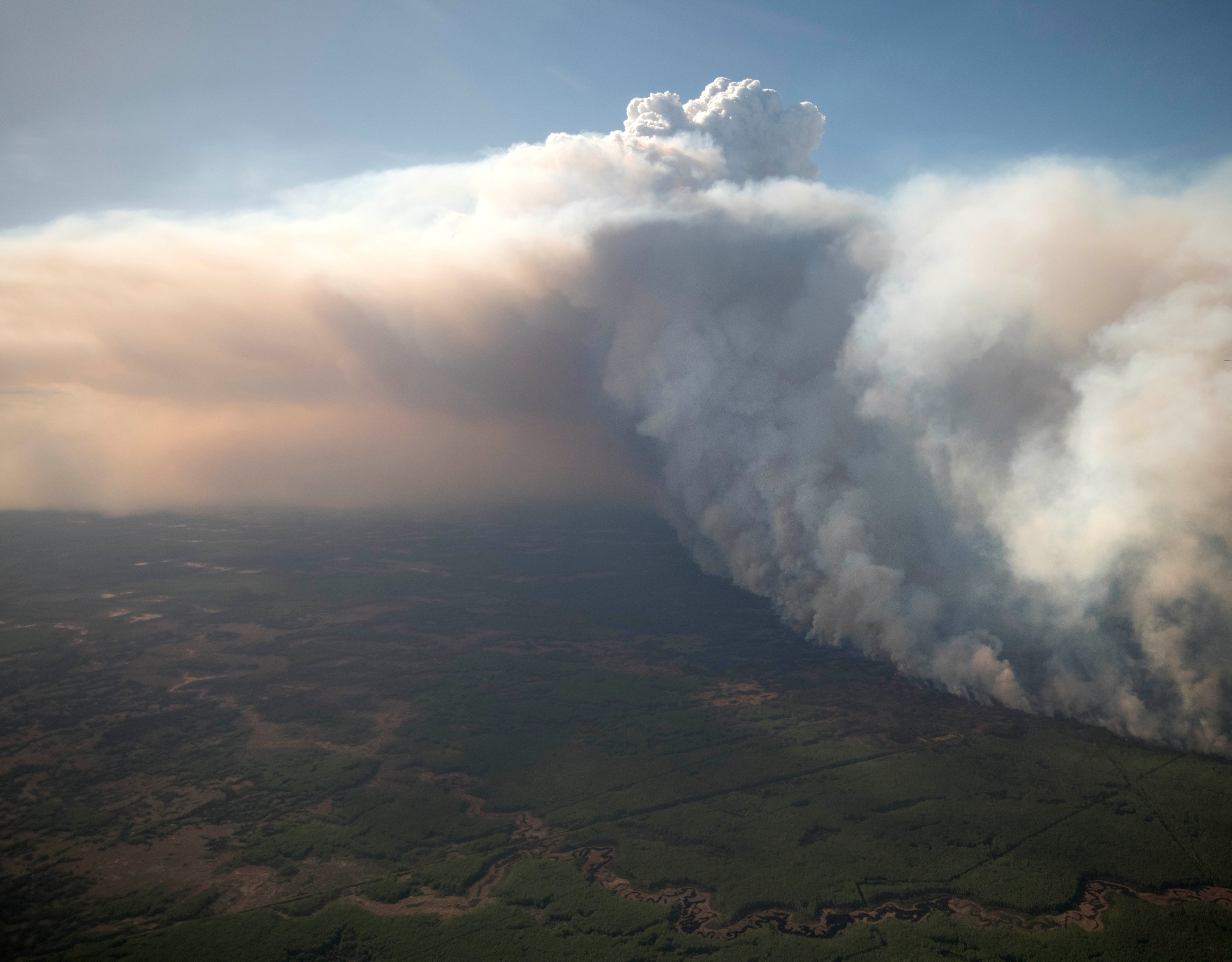 Warmer summer expected in the West spells bad news for forest