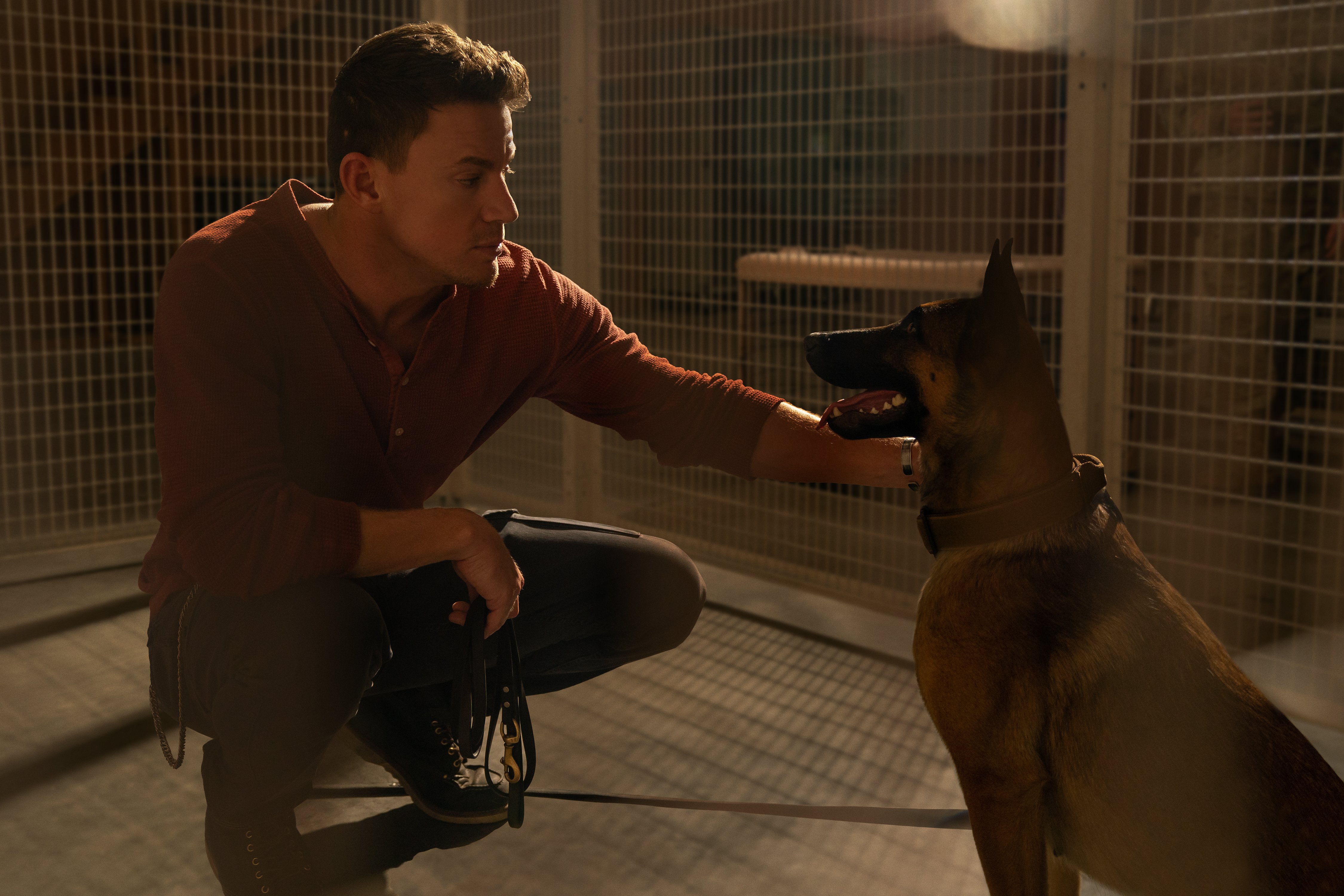 Channing Tatum unleashes a crowd-pleasing brain holiday with new movie Dog  - The Globe and Mail