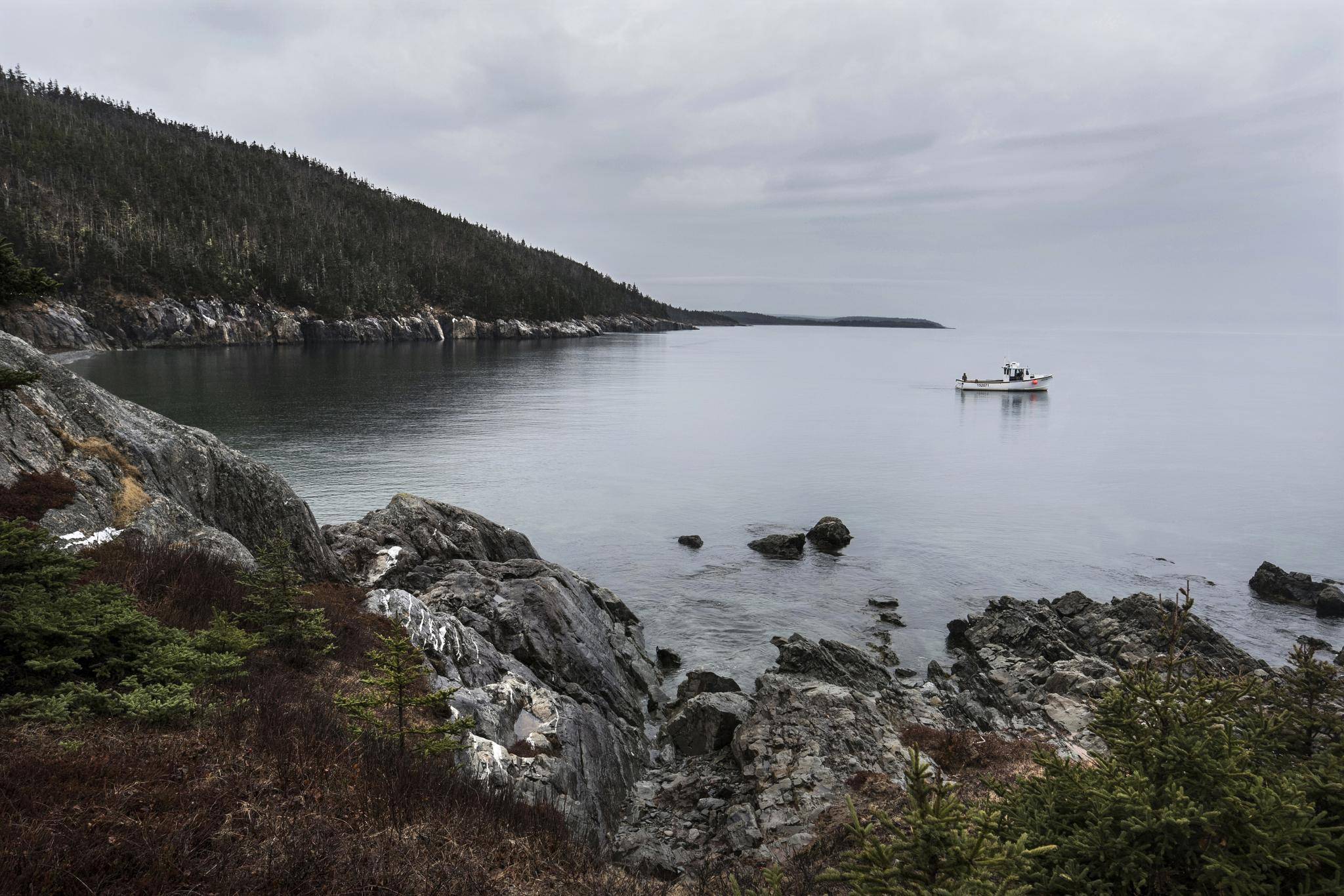 Fogarty's Cove: Maritime legend, hard reality and a quarry that