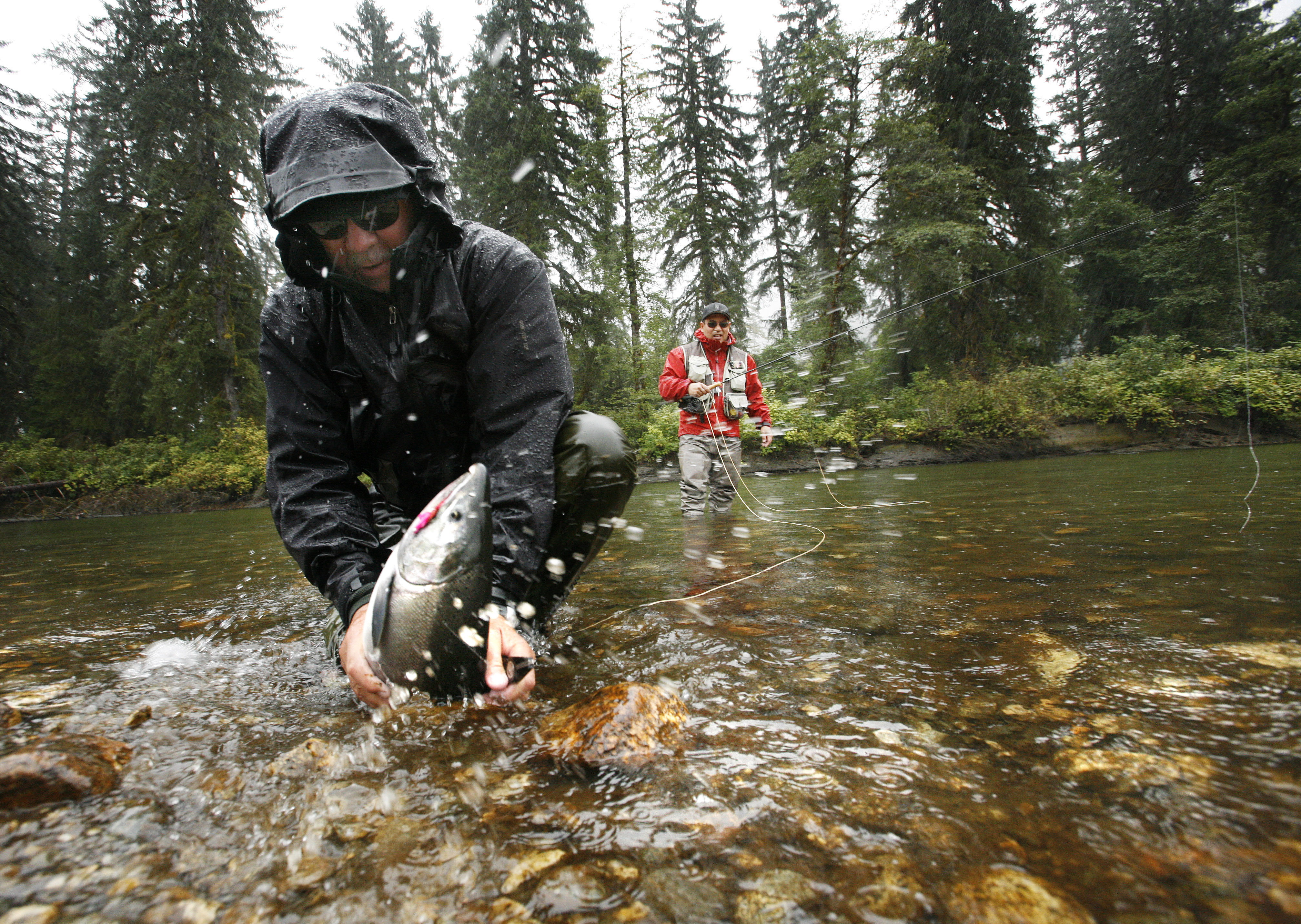 Opinion: Fish are caught in the middle of the catch-and-release