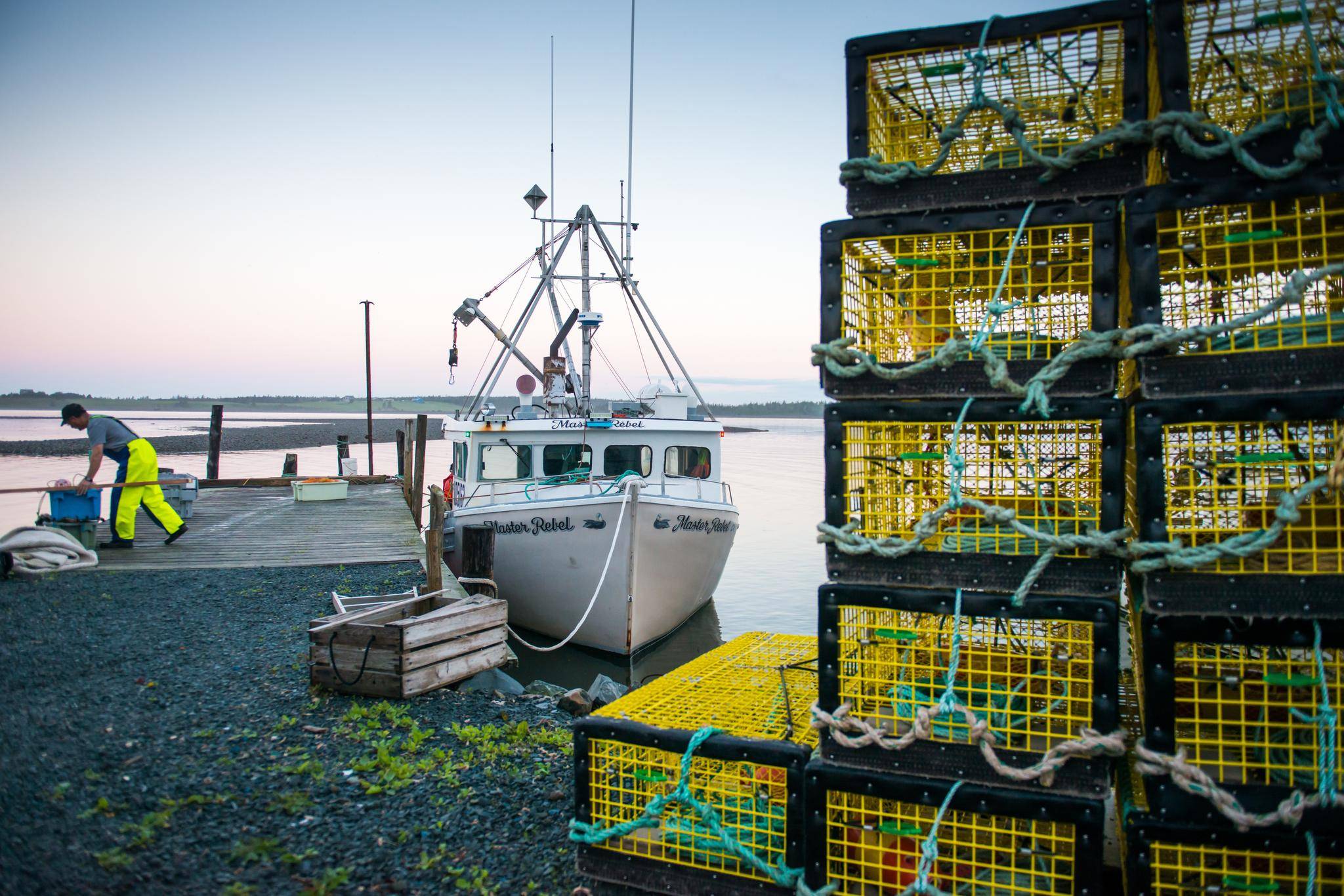 I want to be a commercial fisherman. What will my salary be? - The