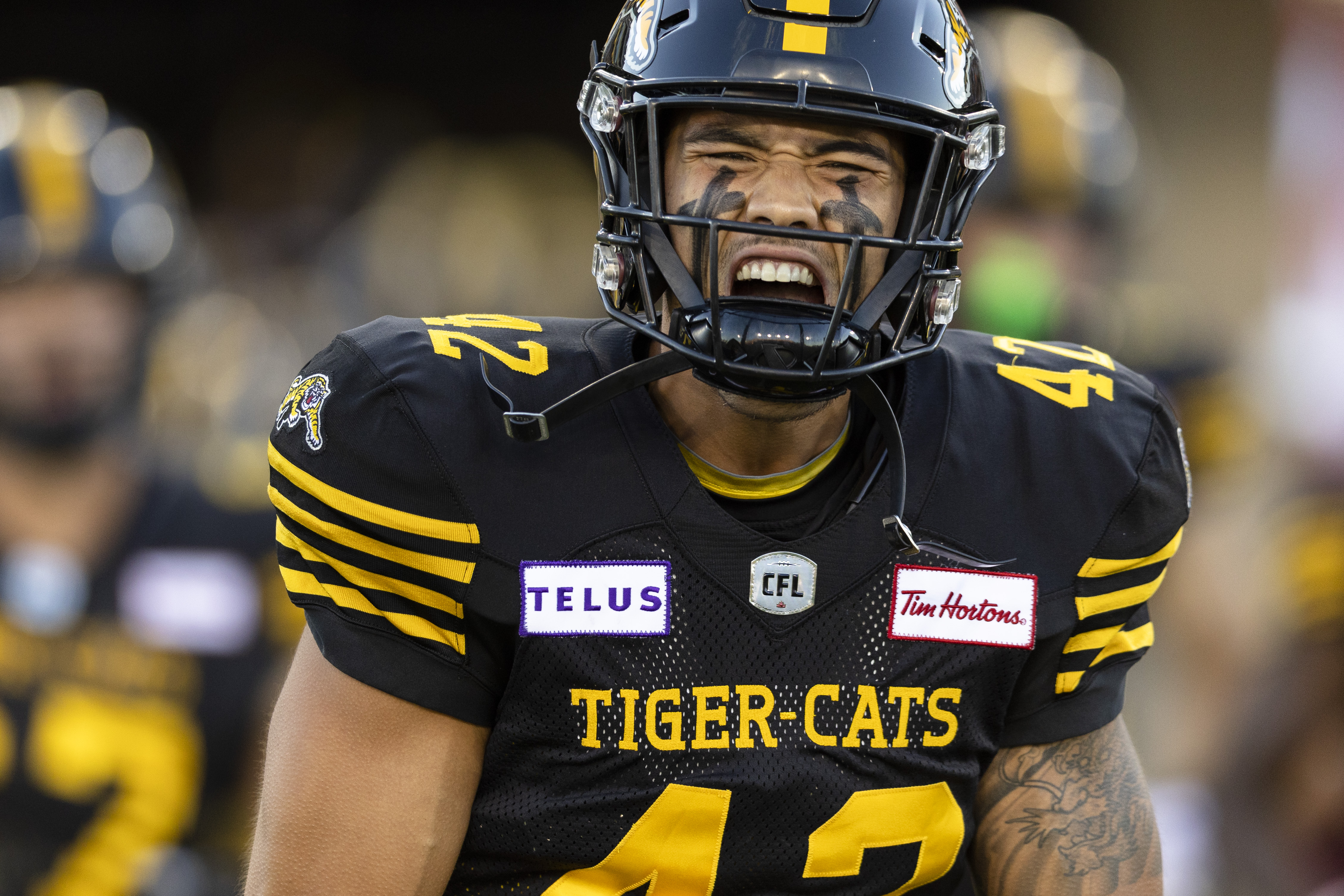 hamilton tiger cats wallpaper