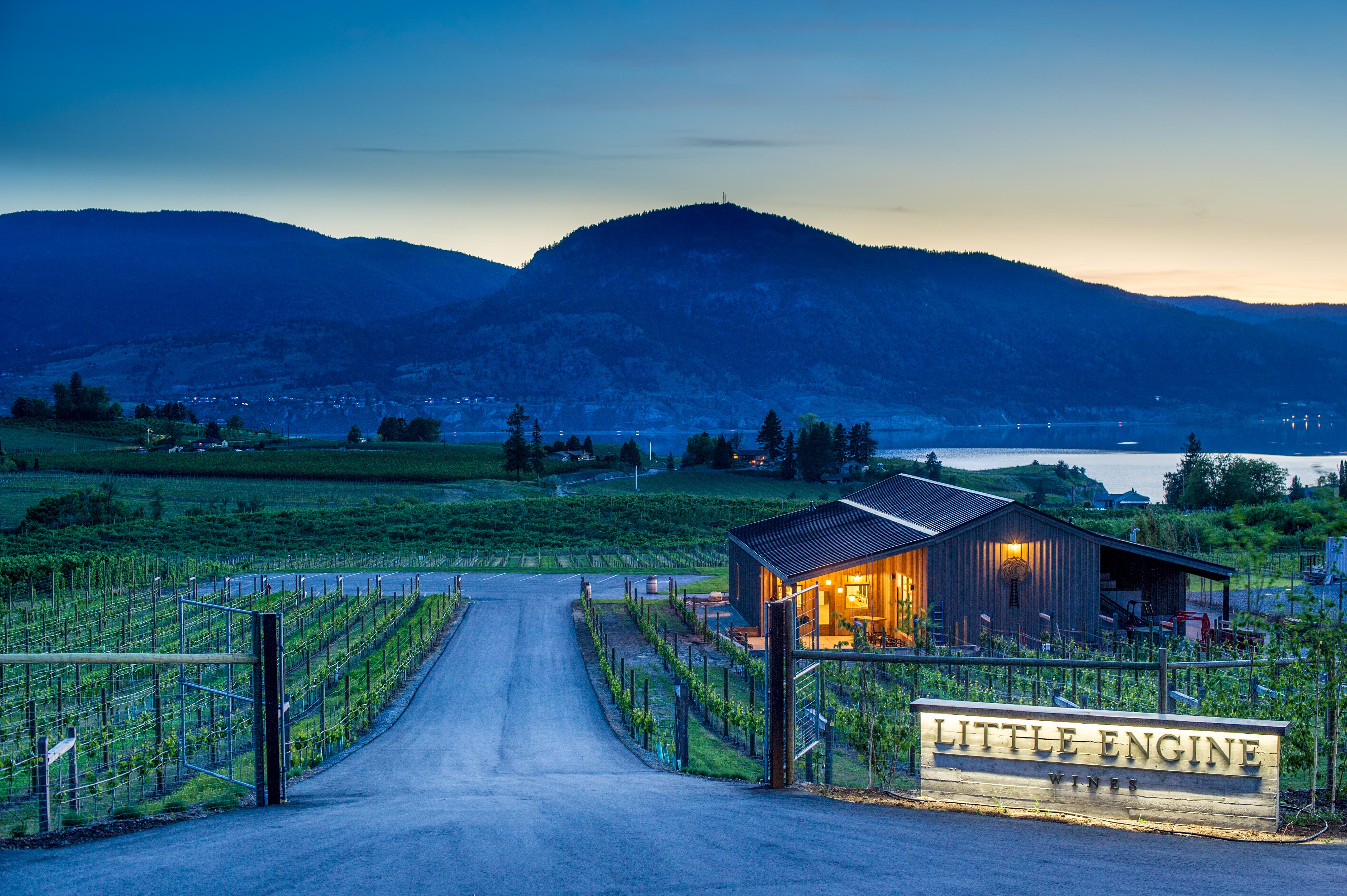 Canadian wineries are finding ways to bring tastings to their