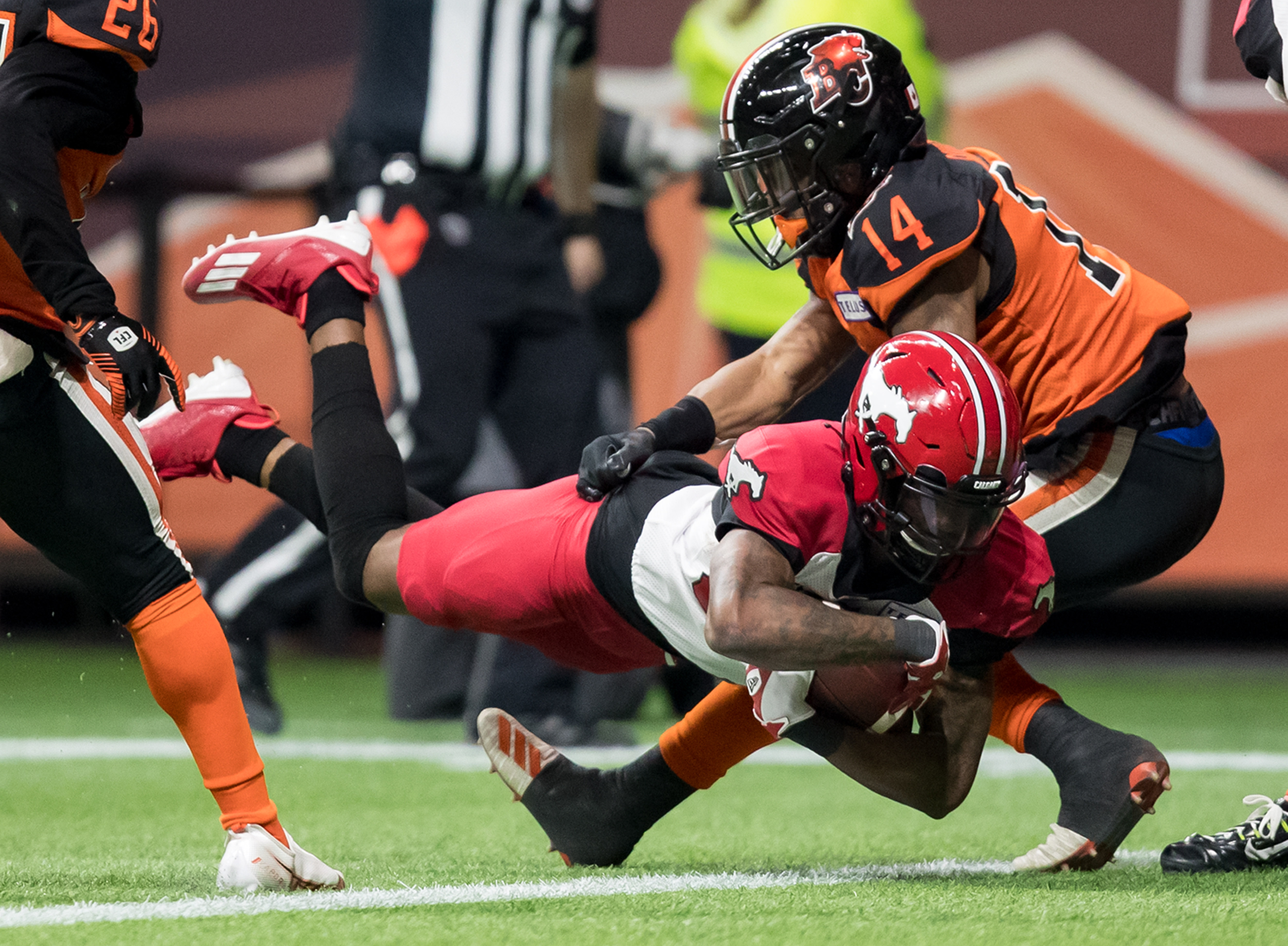 Stampeders clinch CFL playoff spot, eliminate B.C. with 33-23 win over  Lions - North Delta Reporter