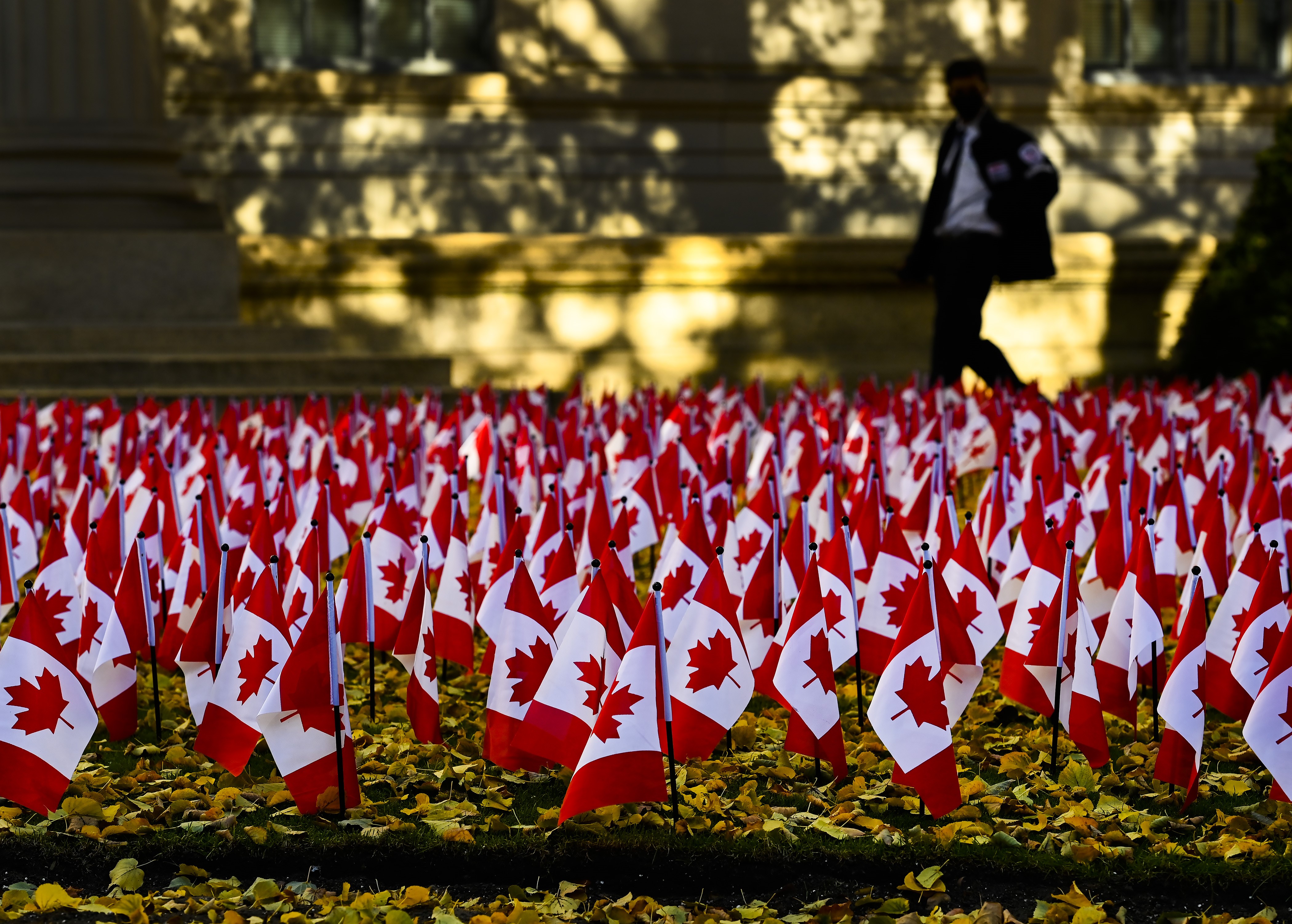 Brock to mark Indigenous Veterans Day, Remembrance Day this week – The  Brock News