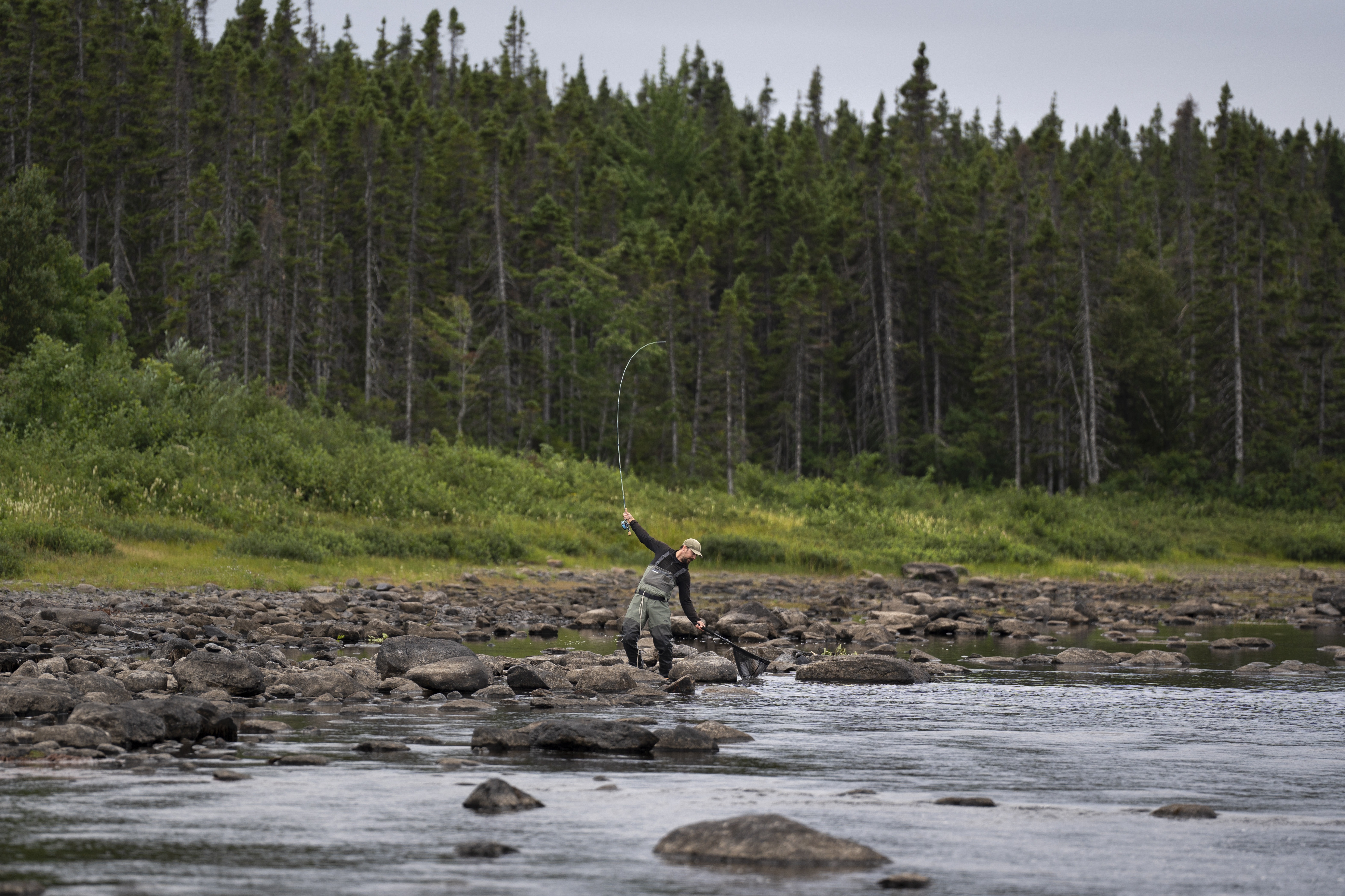 Fly Fishing for Restigouche River Atlantic Salmon - Fly Fisherman