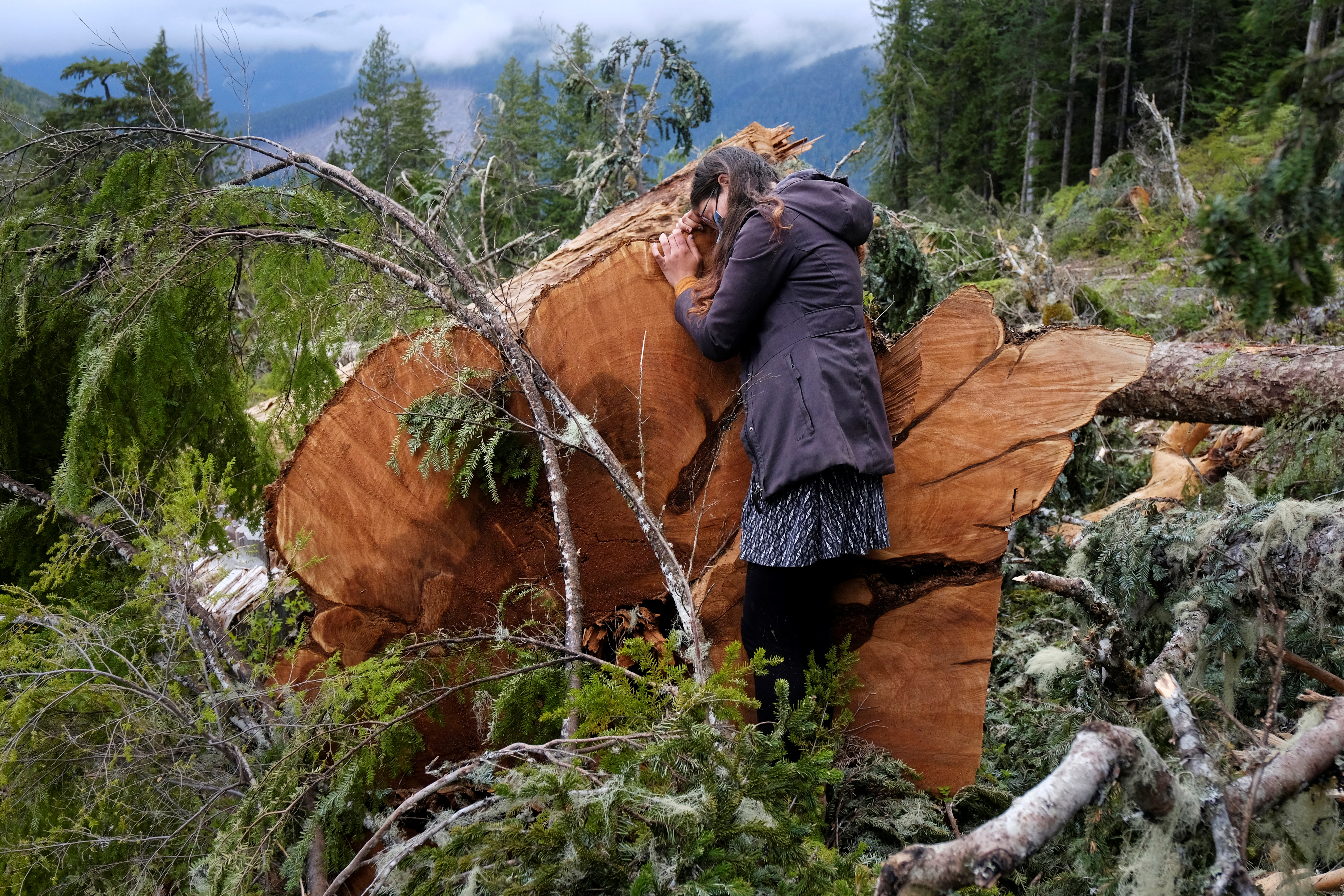 Building a HOUSE in the OLD GROWTH TAIGA biome 