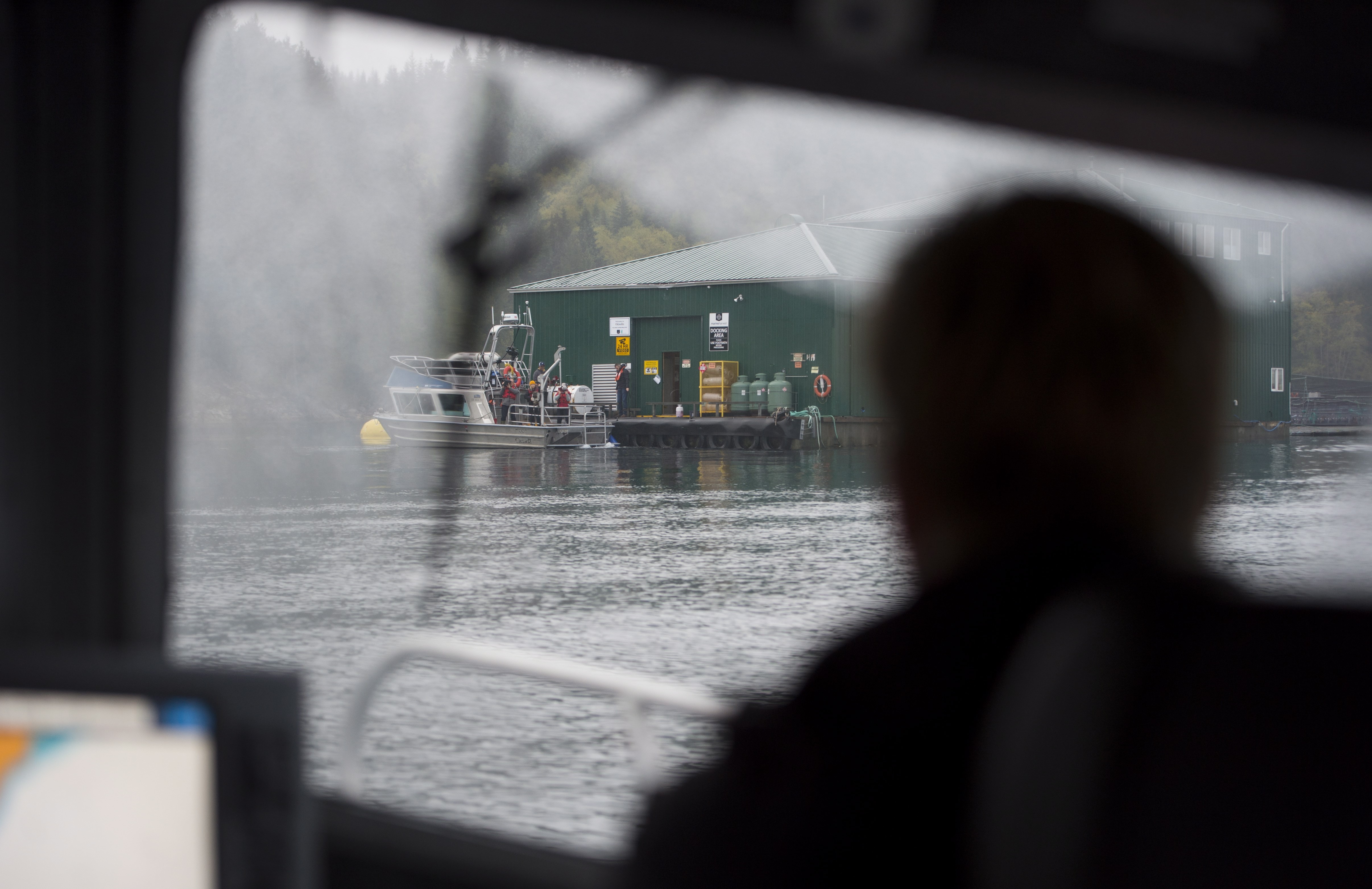 How Canadian companies are reinventing commercial fishing - The Globe and  Mail