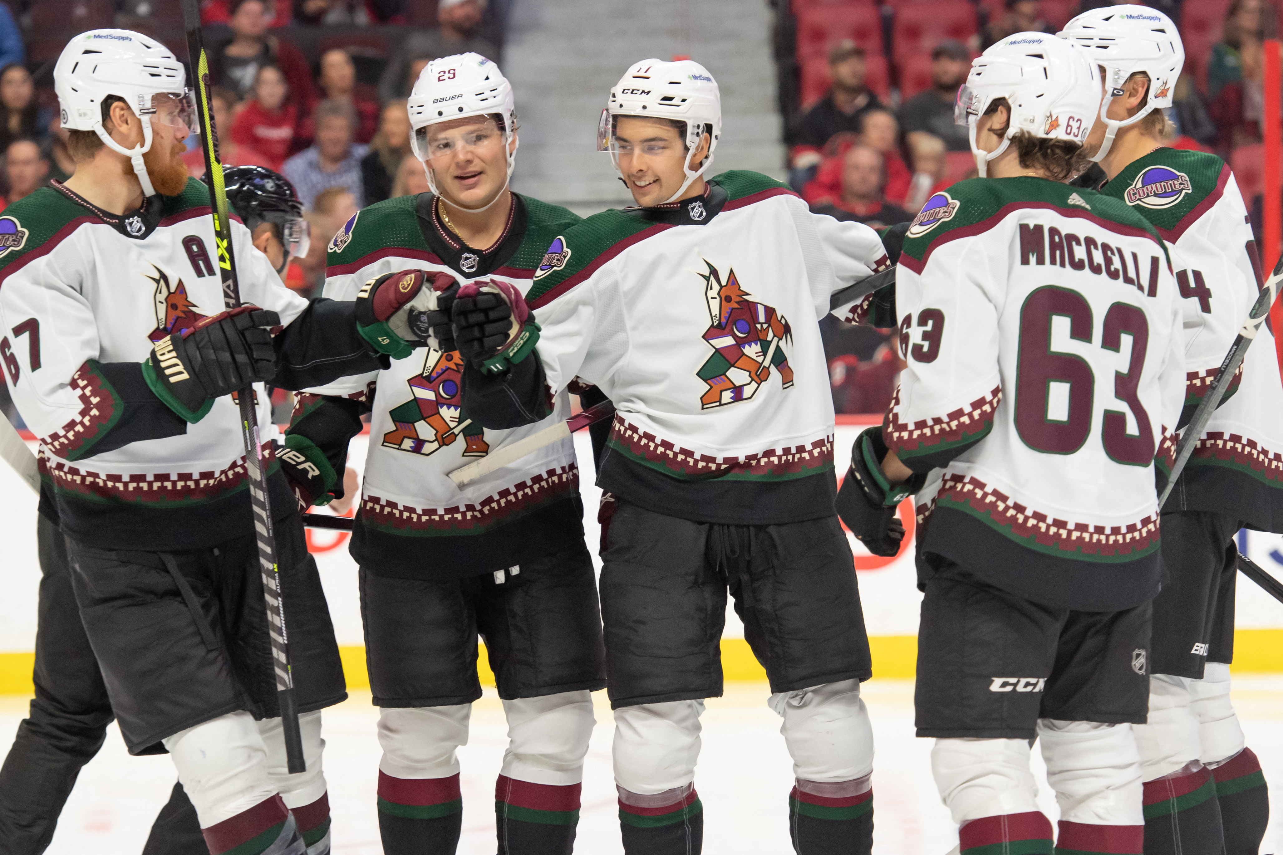 Arizona Coyotes new official name for Phoenix, starting in 2014-15