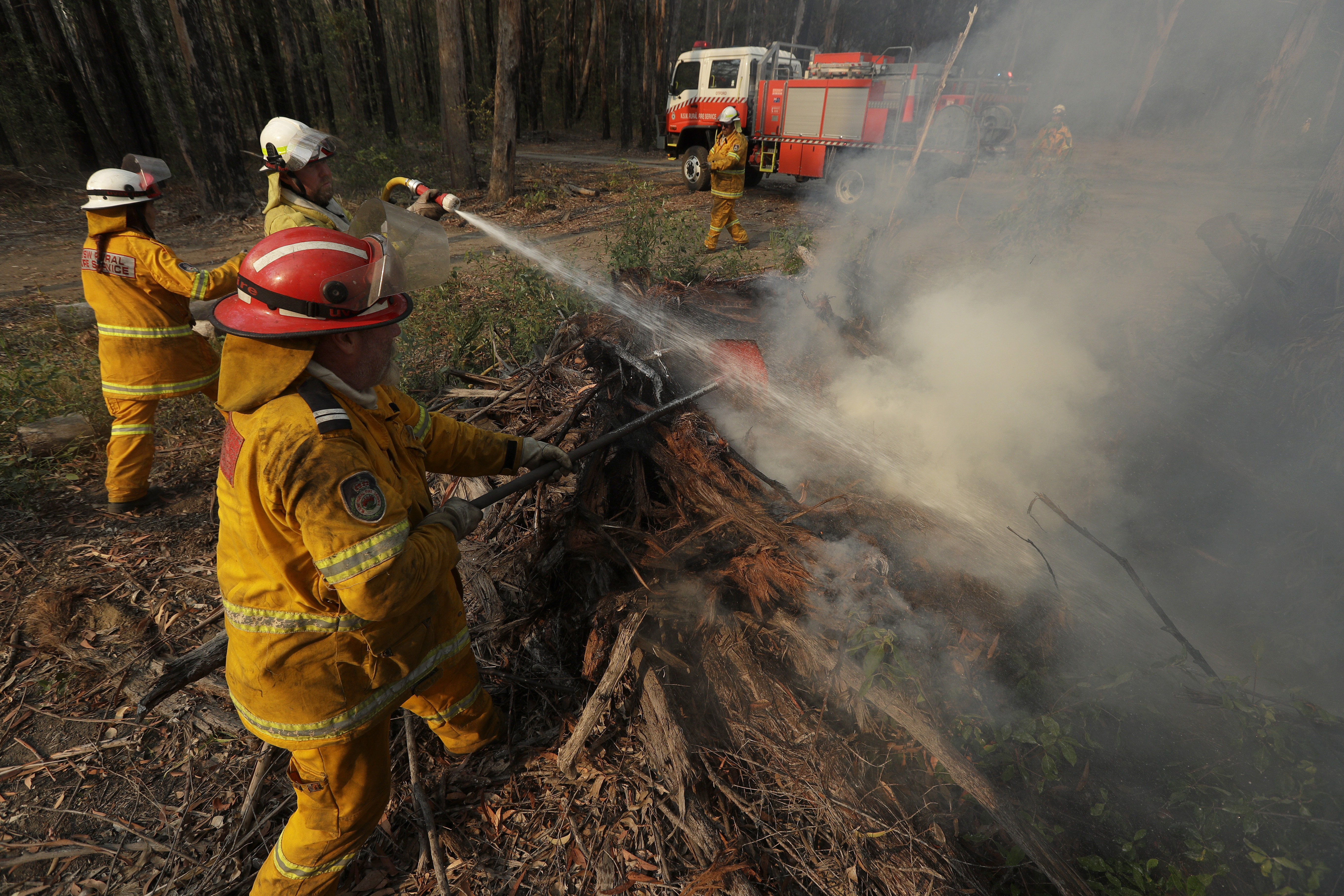 Почему после пожаров. Лесные пожары в Австралии 2019-2020. Лесные пожары в Австралии 2019. Лесной пожар в Австралии 1983. Пожар в Австралии 2020 животные.