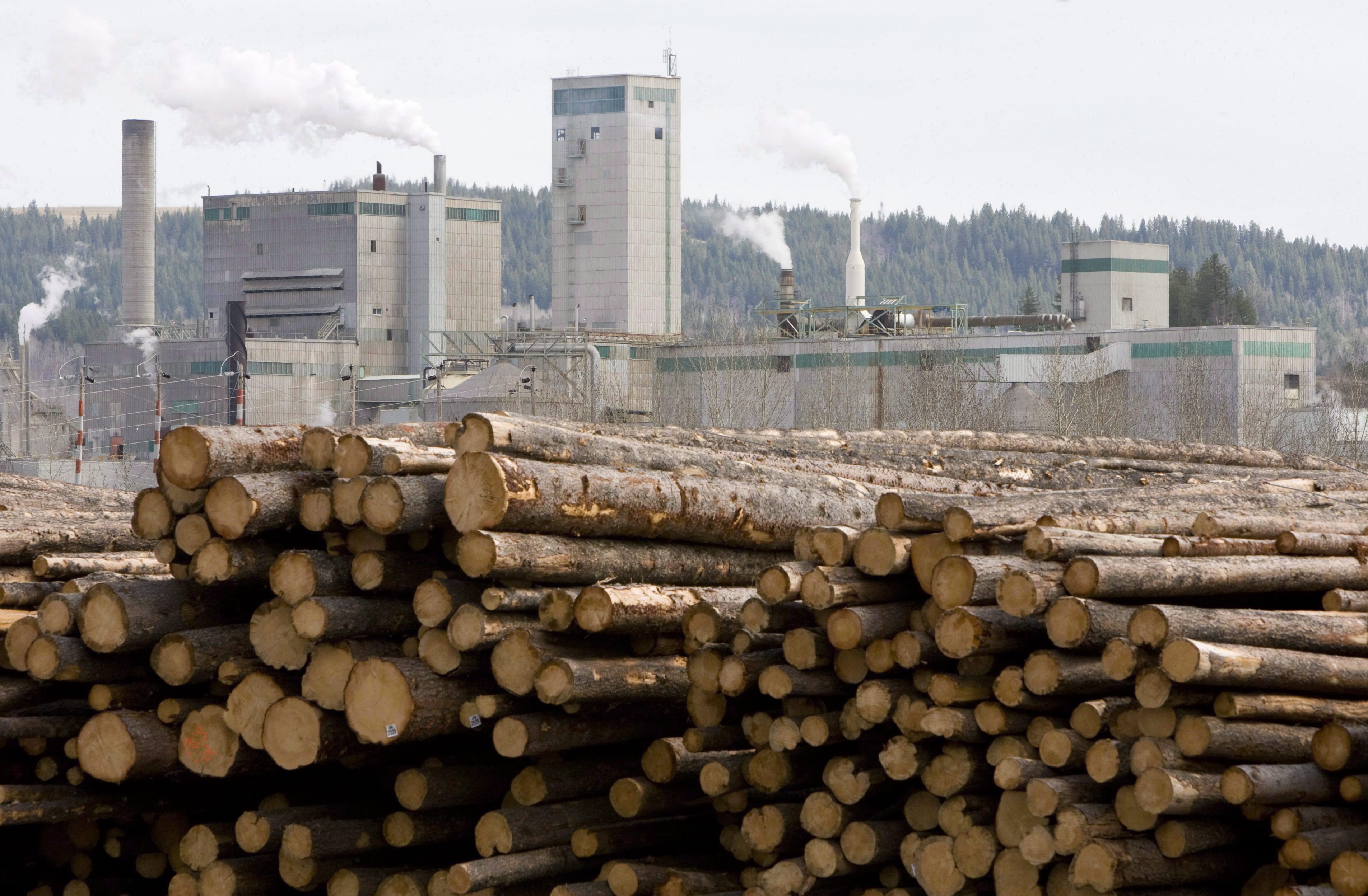Деревообрабатывающая промышленность центры. Деревообрабатывающая и целлюлозно-бумажная промышленность Канады. Деревообрабатывающая промышленность Канады. Лесная промышленность Канады. Целлюлозно-бумажная промышленность Канады.