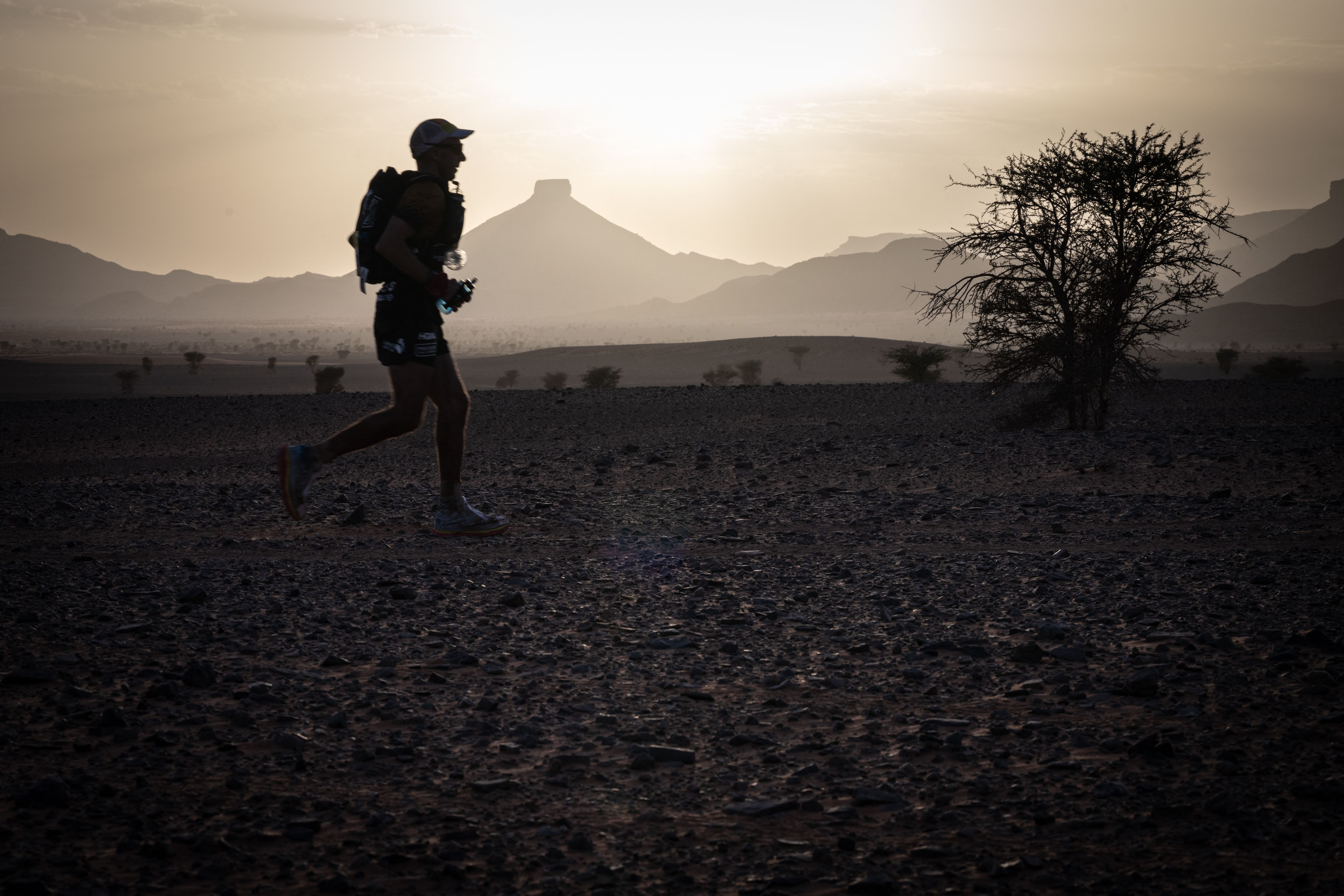 Ultra-marathon runners' brains shrank while racing across Europe