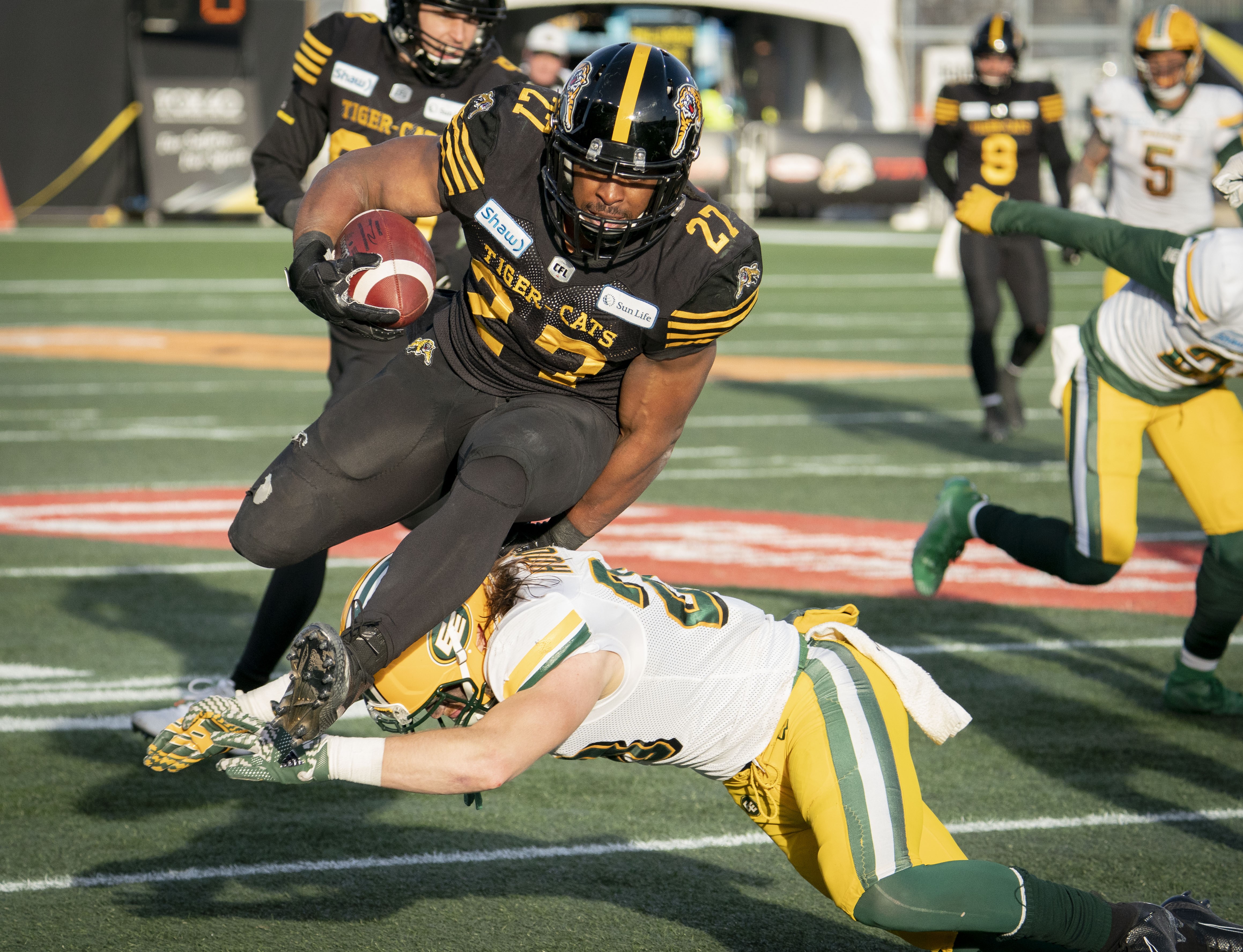 Hamilton Tiger-Cats beat Edmonton Eskimos, advance to Grey Cup