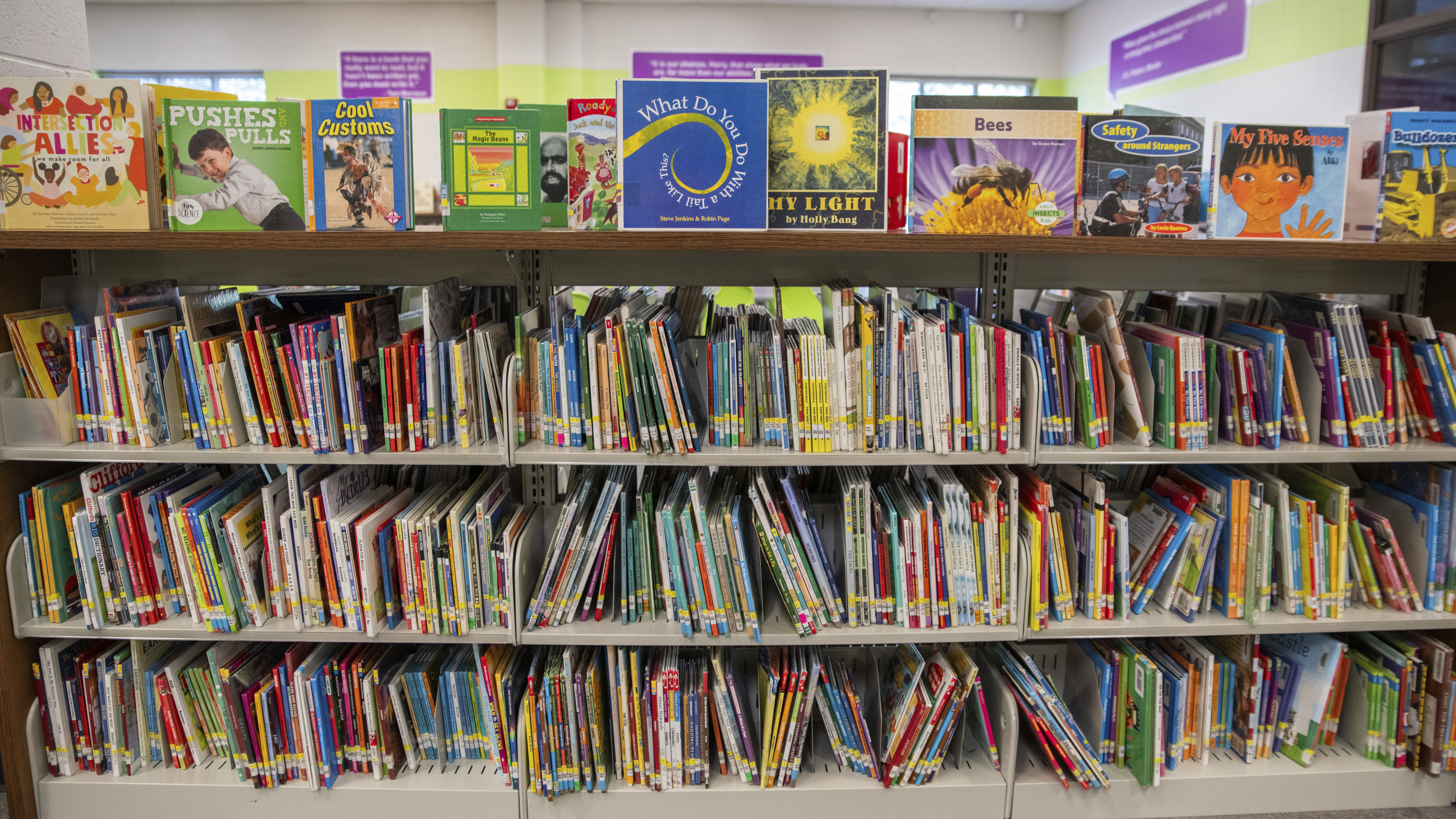 In Branch Libraries, Fewer Books But High Demand