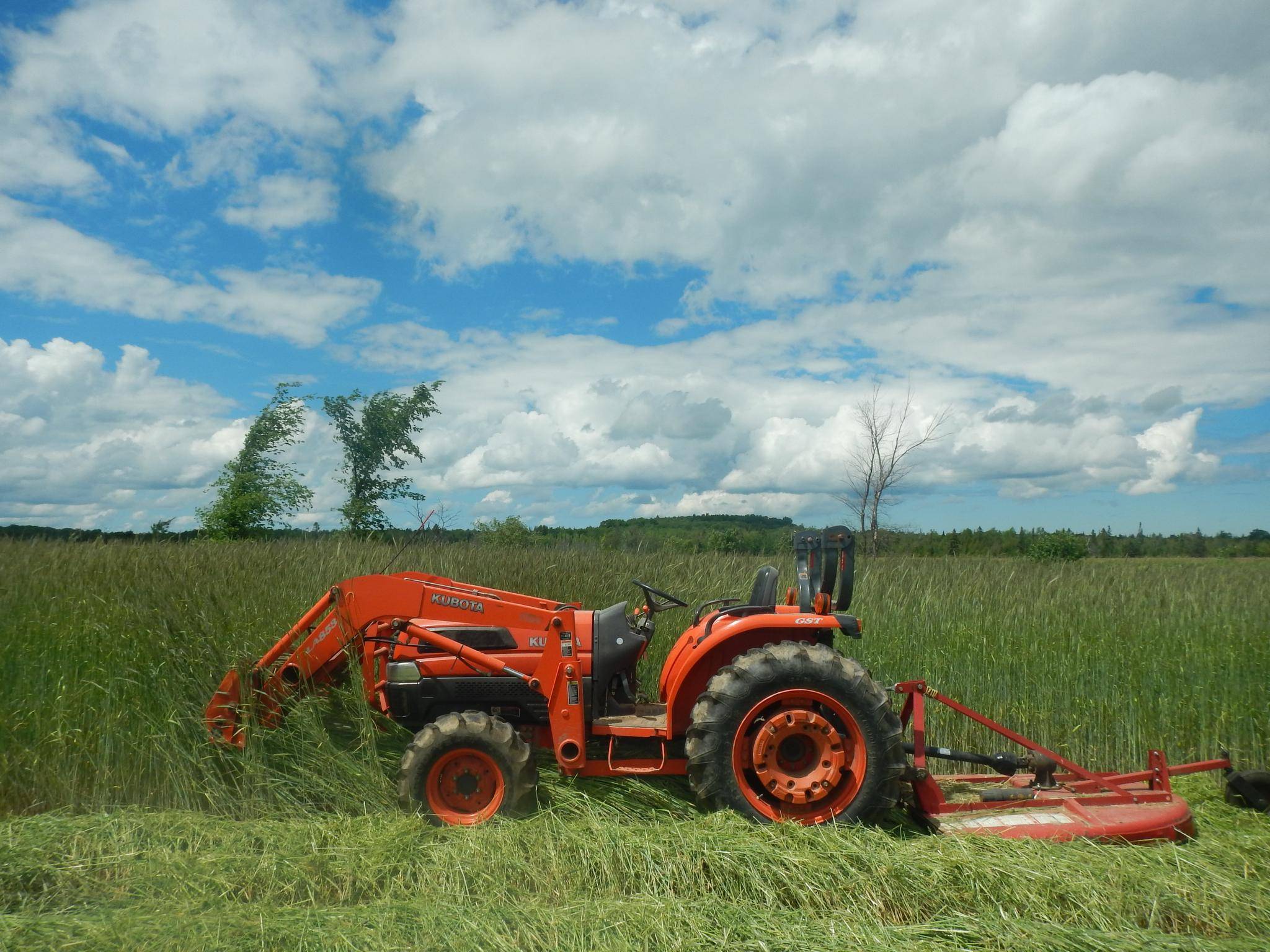 The New Farm: Our Ten Years on the Front Lines of the Good Food Revolution