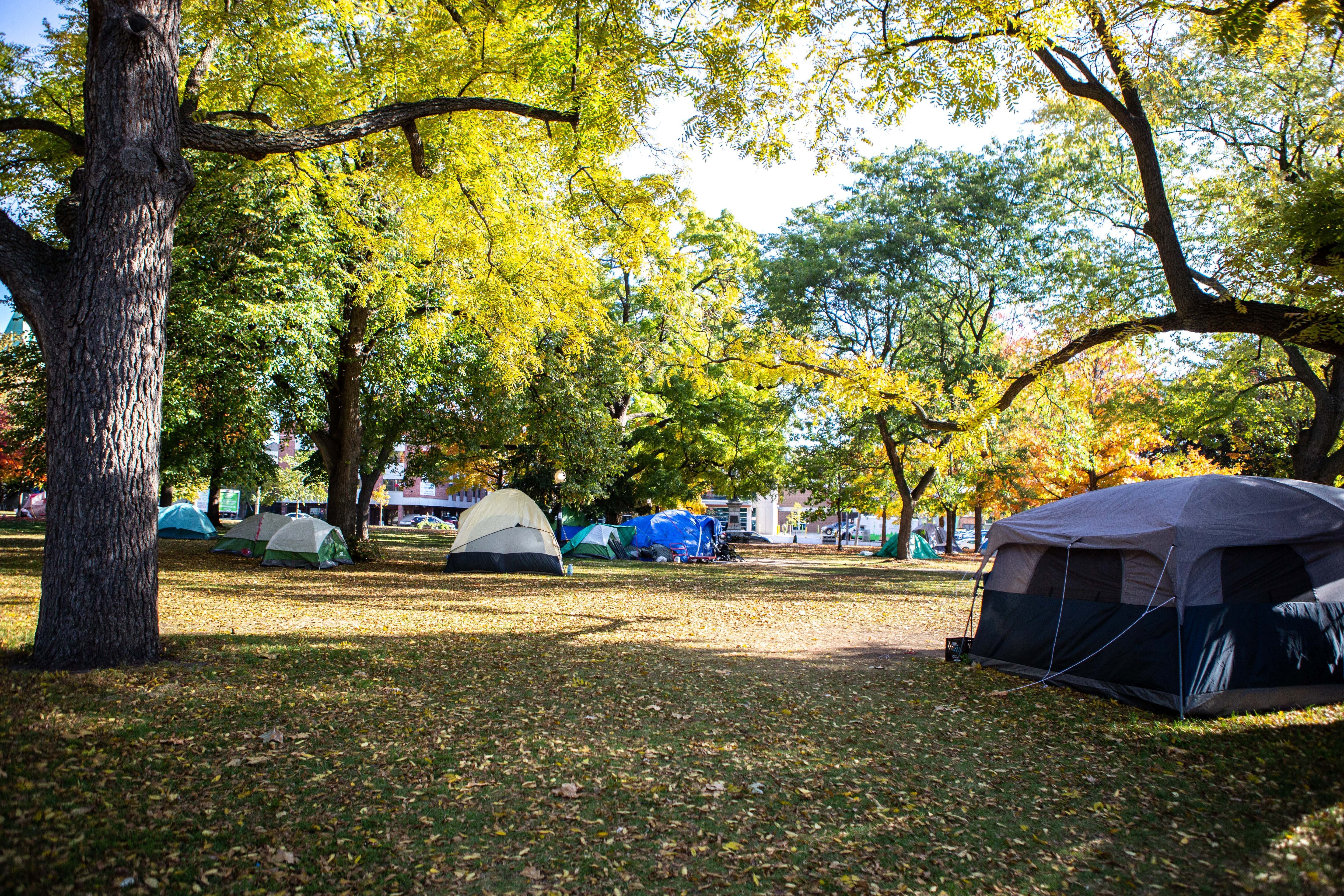 Pretty lost': Toronto man fears shelter system but can't get help without  it - Toronto