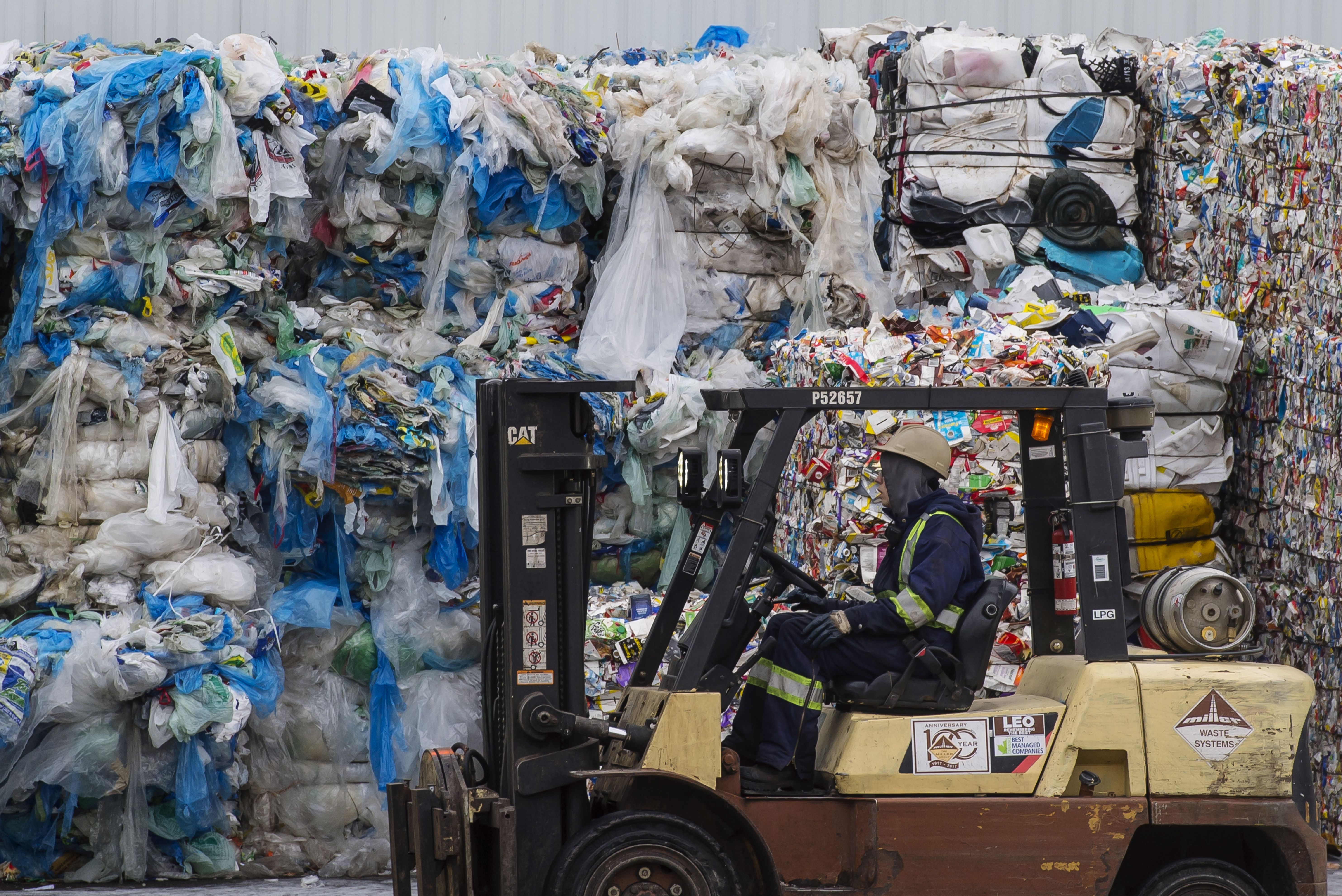 Single Use Plastic Bag Ban Creates Unintended Problems in Canada  [Feature/Expert Interviews]