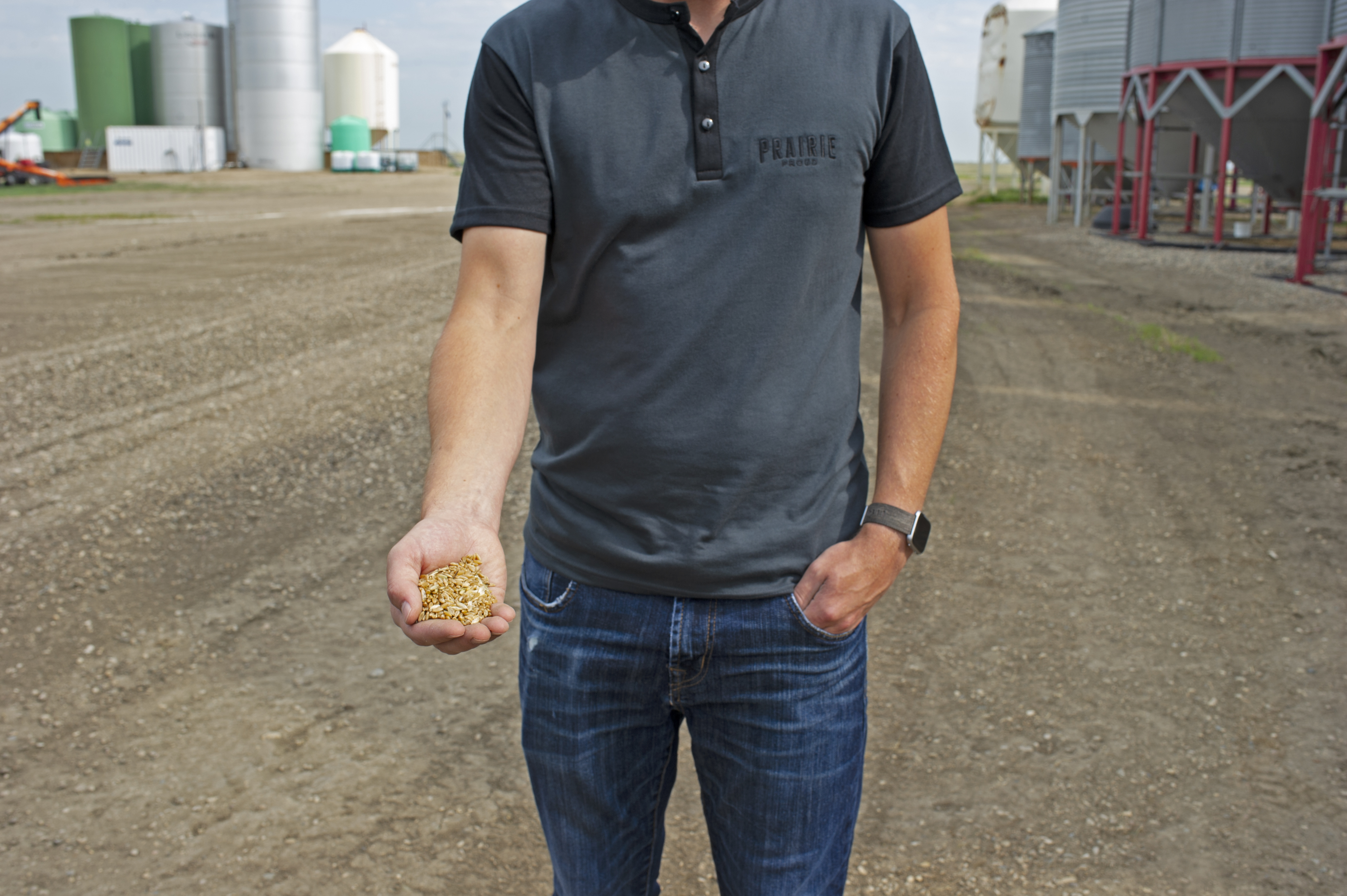 canadian farmers plant far more durum as covid 19 pushes global demand sky high the globe and mail