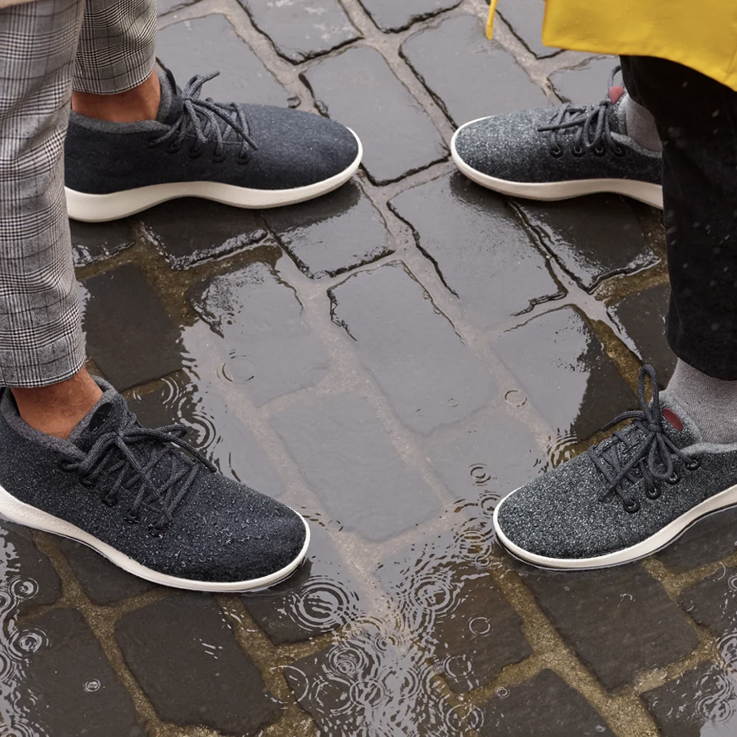 Allbirds