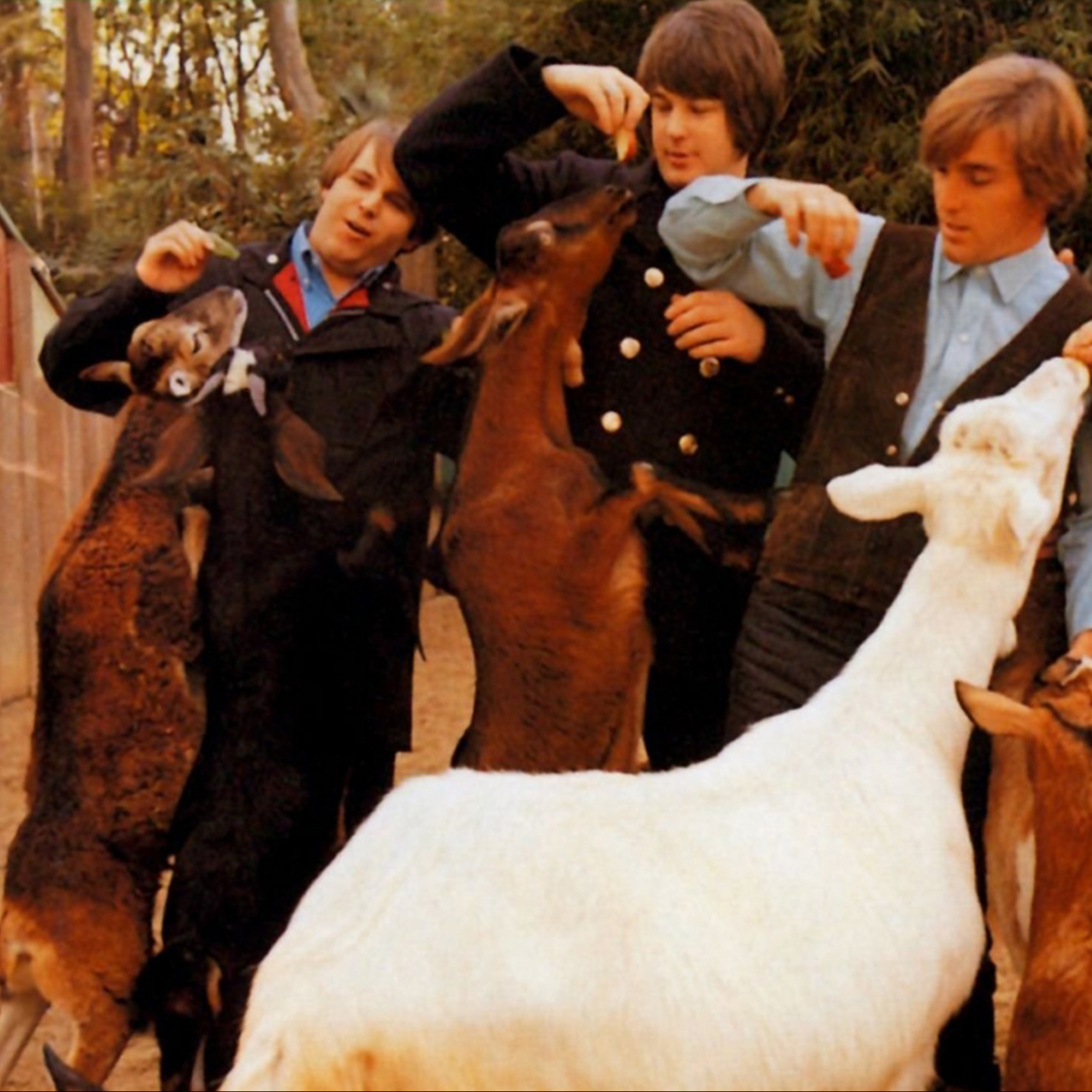 Is 'Pet Sounds' The Best Record Ever?