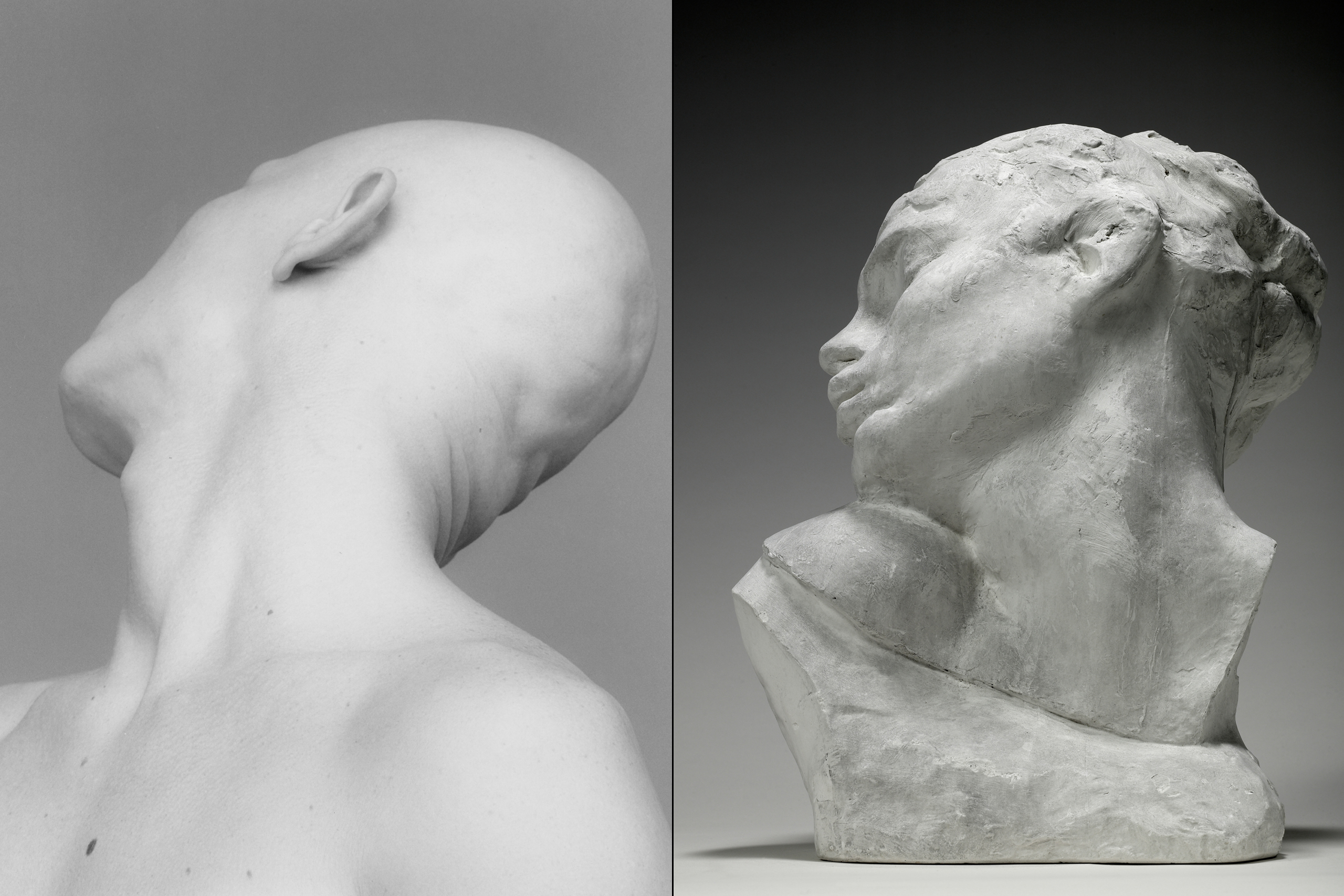 Mapplethorpe's Artistic Twin