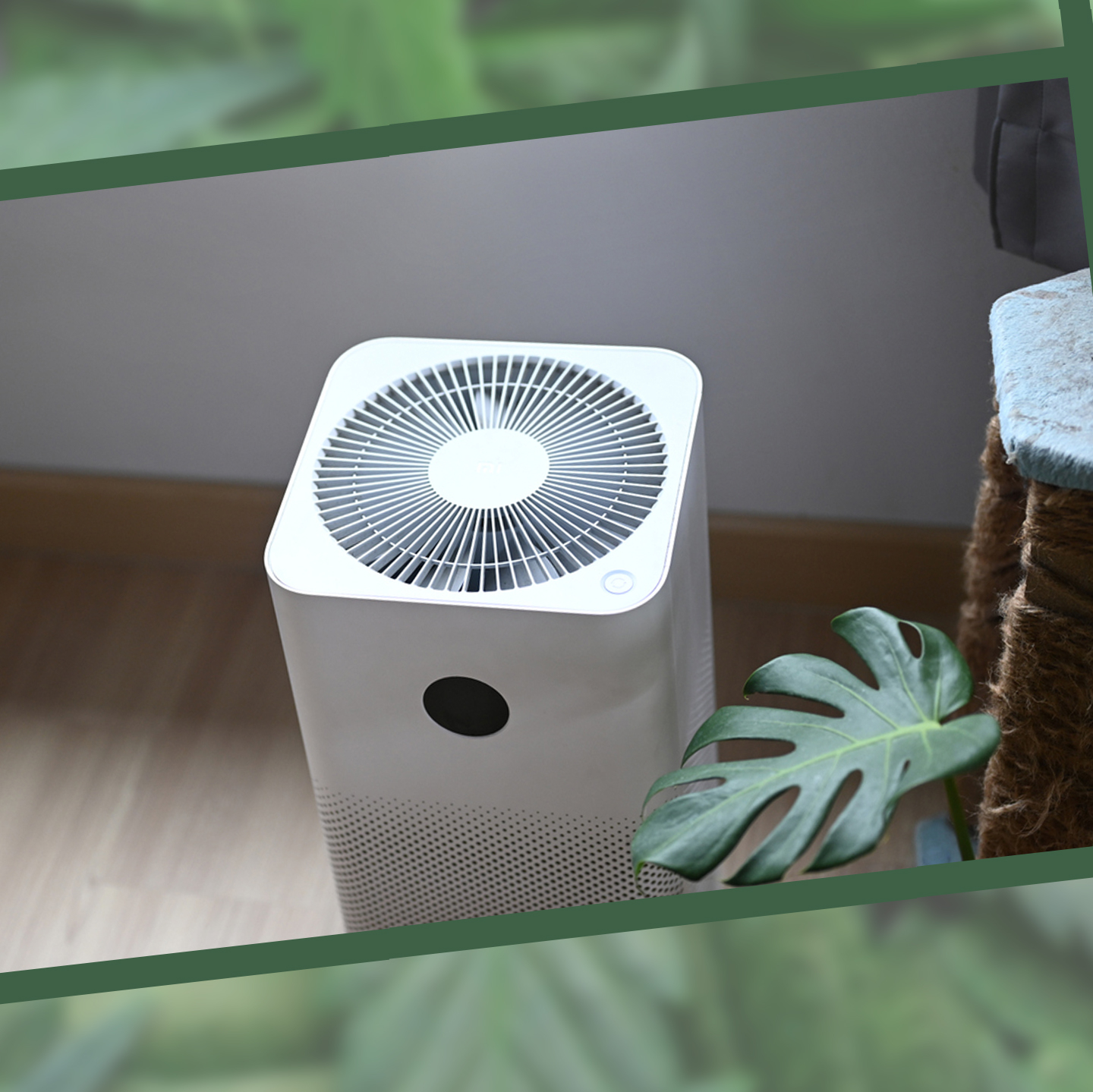 best air purifier for cigarette and weed smoke Amazon.com: 2 in 1 Air Purifier Multifunctional The 5 Best Air Purifiers