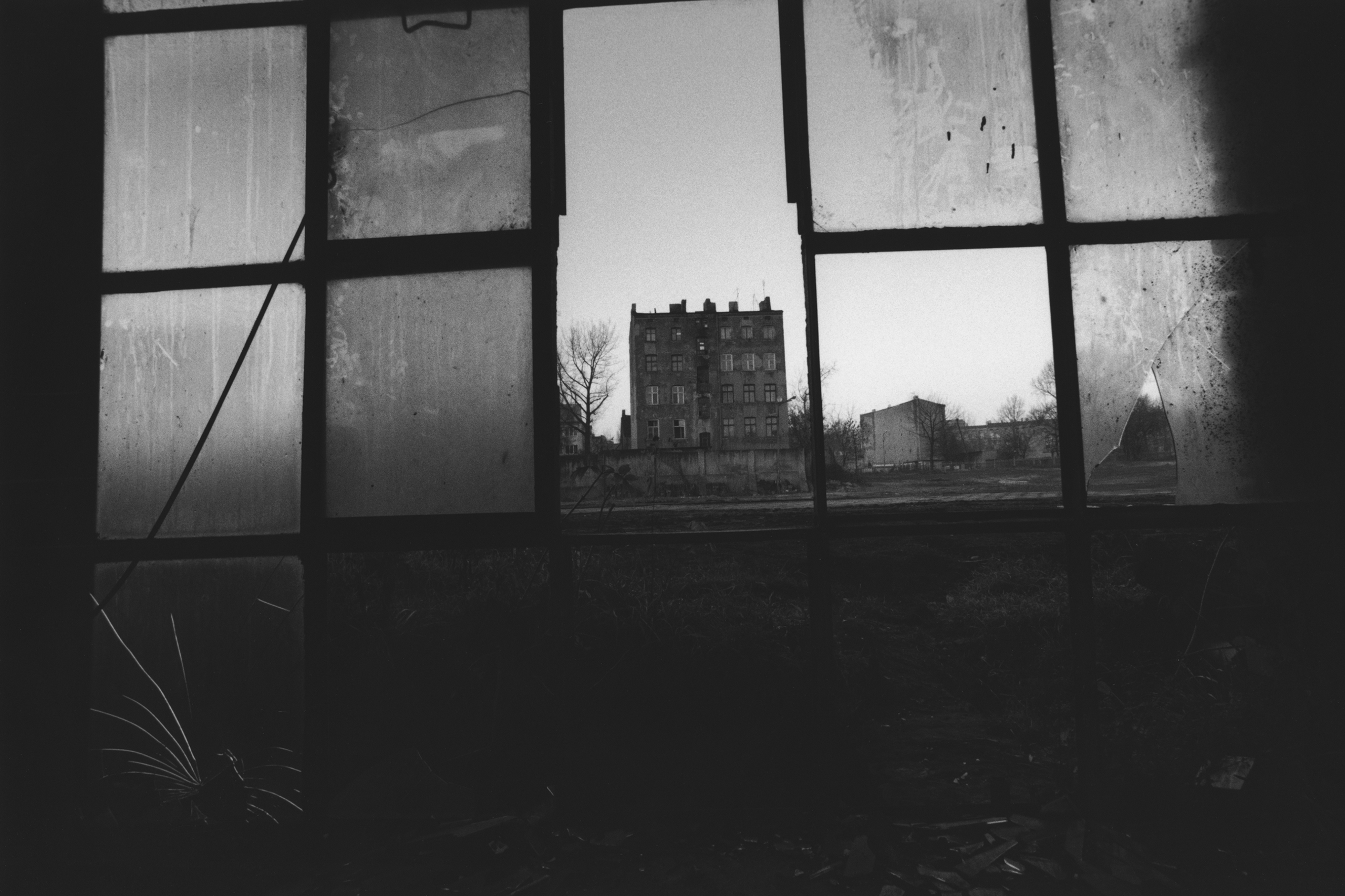 David Lynch Goes From Film to Photos with 'The Factory Photographs'