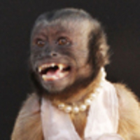 Crystal the Monkey