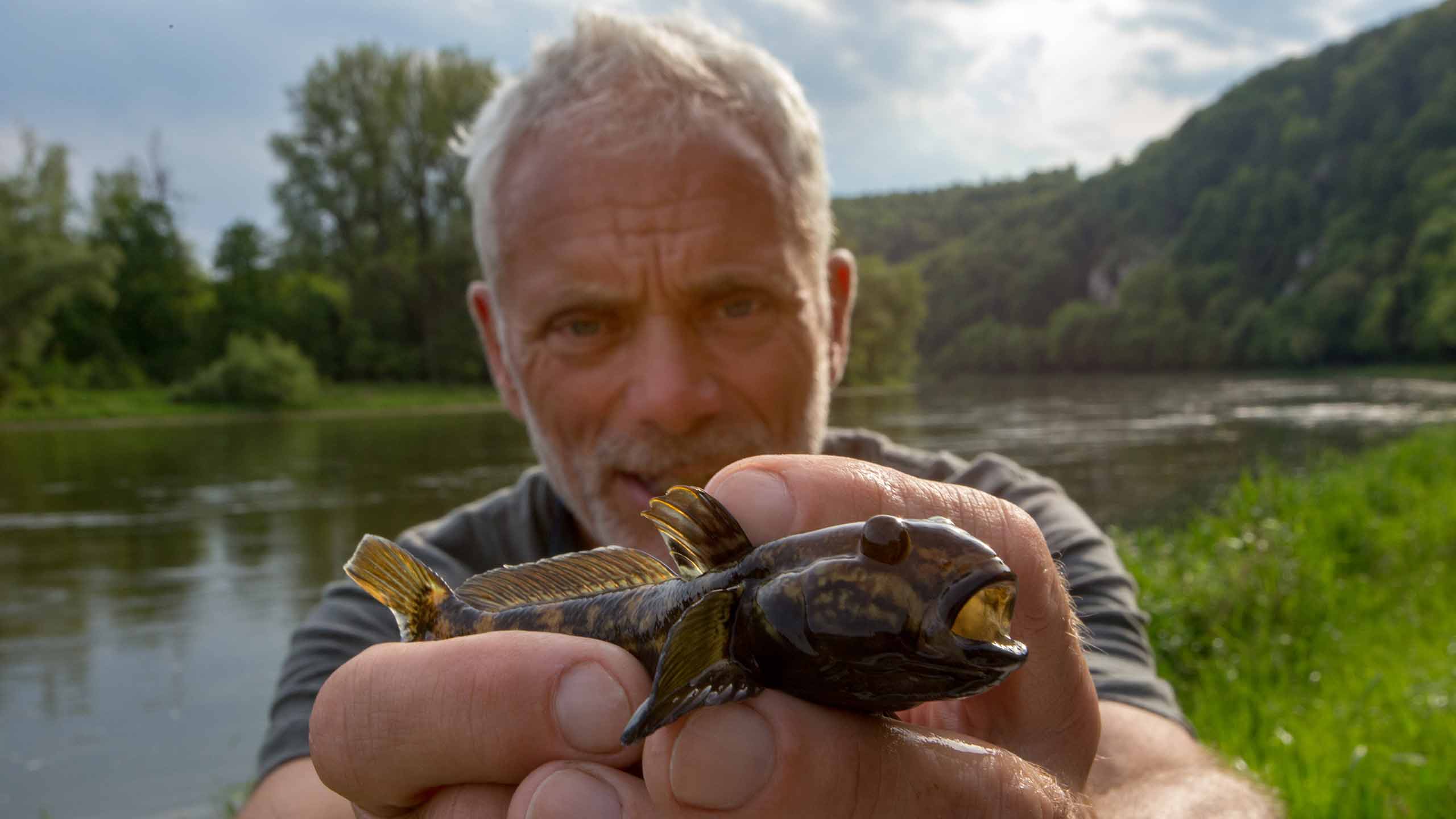Jeremy Wade: My Wet-and-Wild Search for Missing River Monsters...and Answers