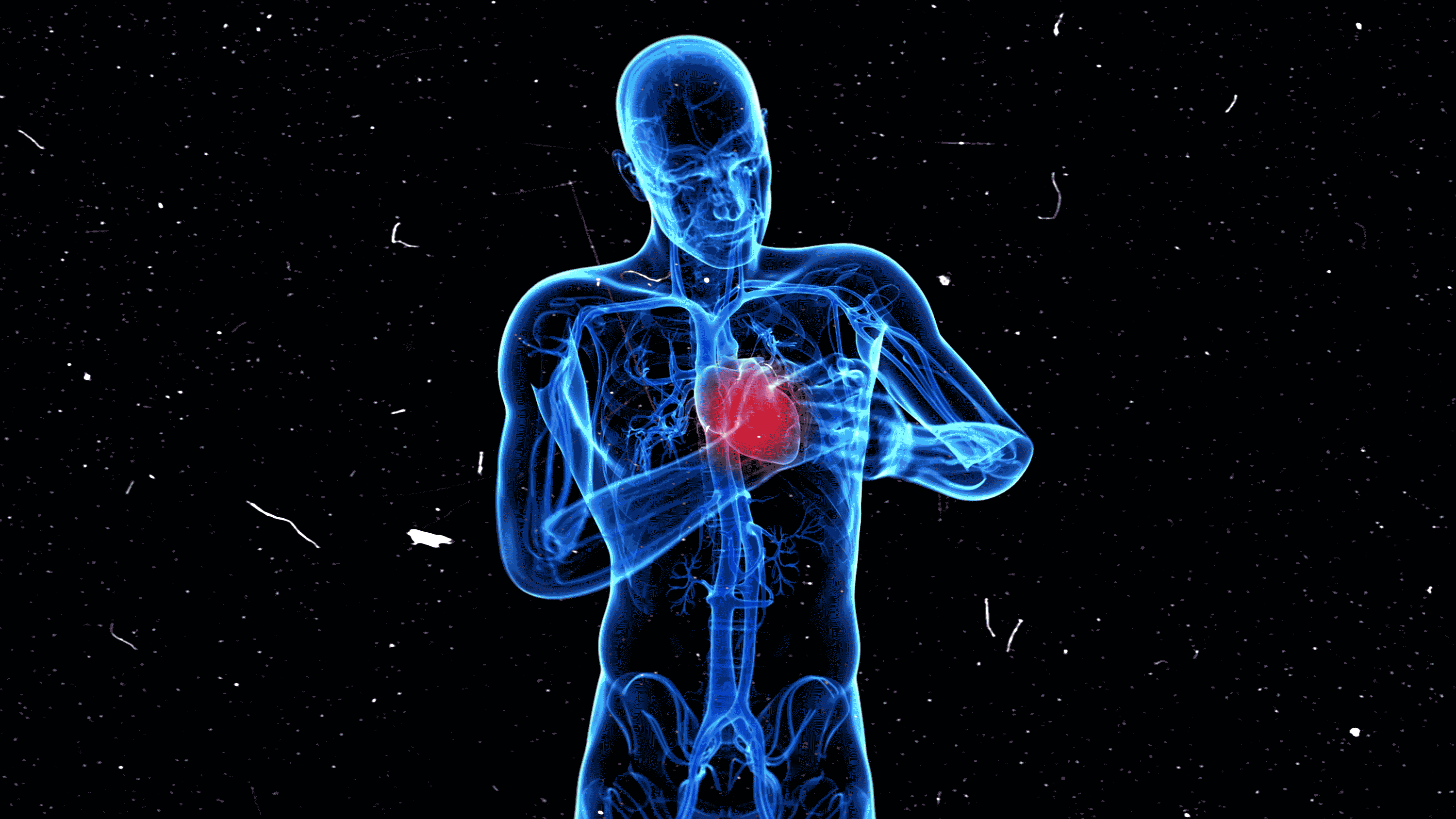 American Heart Health Might Get Much, Much Worse by 2060 Especially for  Minorities