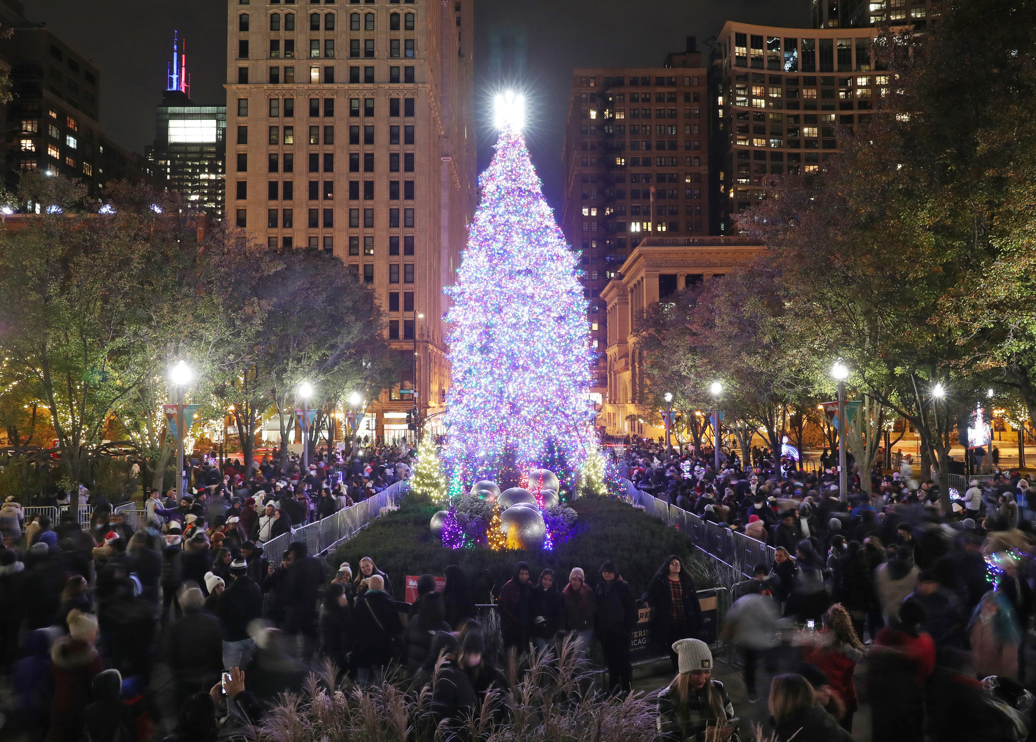 Christmas tree in Park: it comes from and when the lighting ceremony takes place – Chicago Tribune