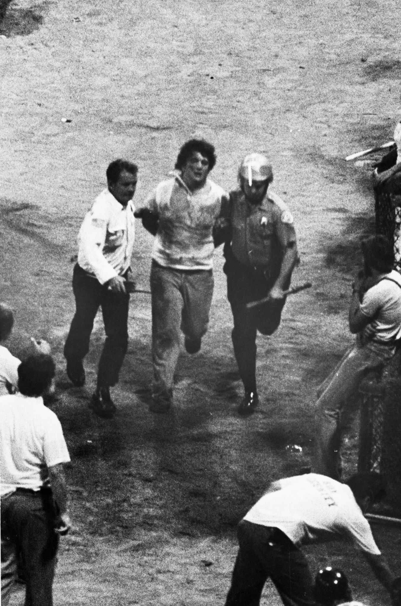White Sox forfeit to the Tigers after crowds rush the field on 'Disco  Demolition Night' in 1979 – New York Daily News