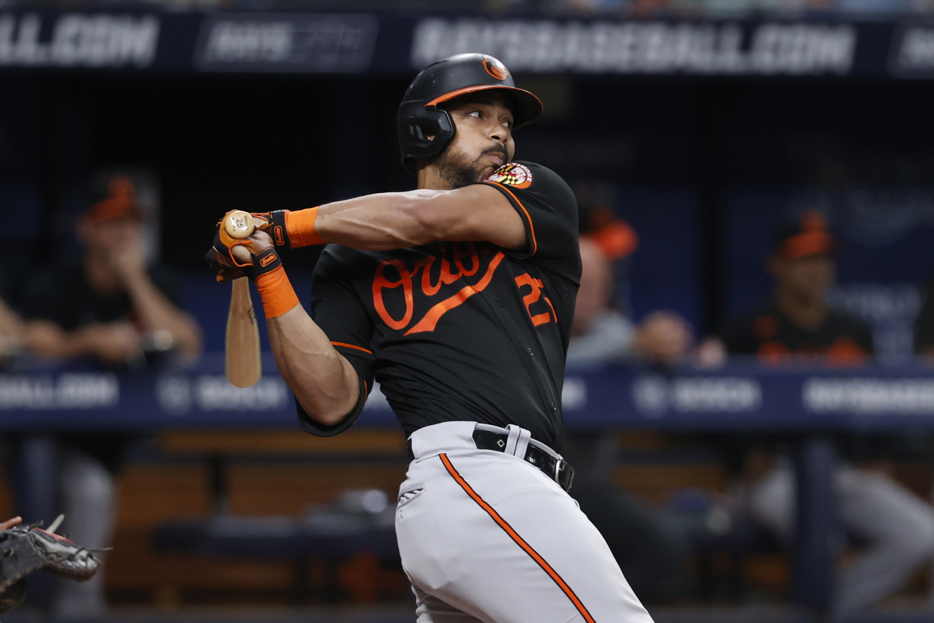 Photo: Baltimore Orioles v Tampa Bay Rays in St. Petersburg -  FLSN20230722114 