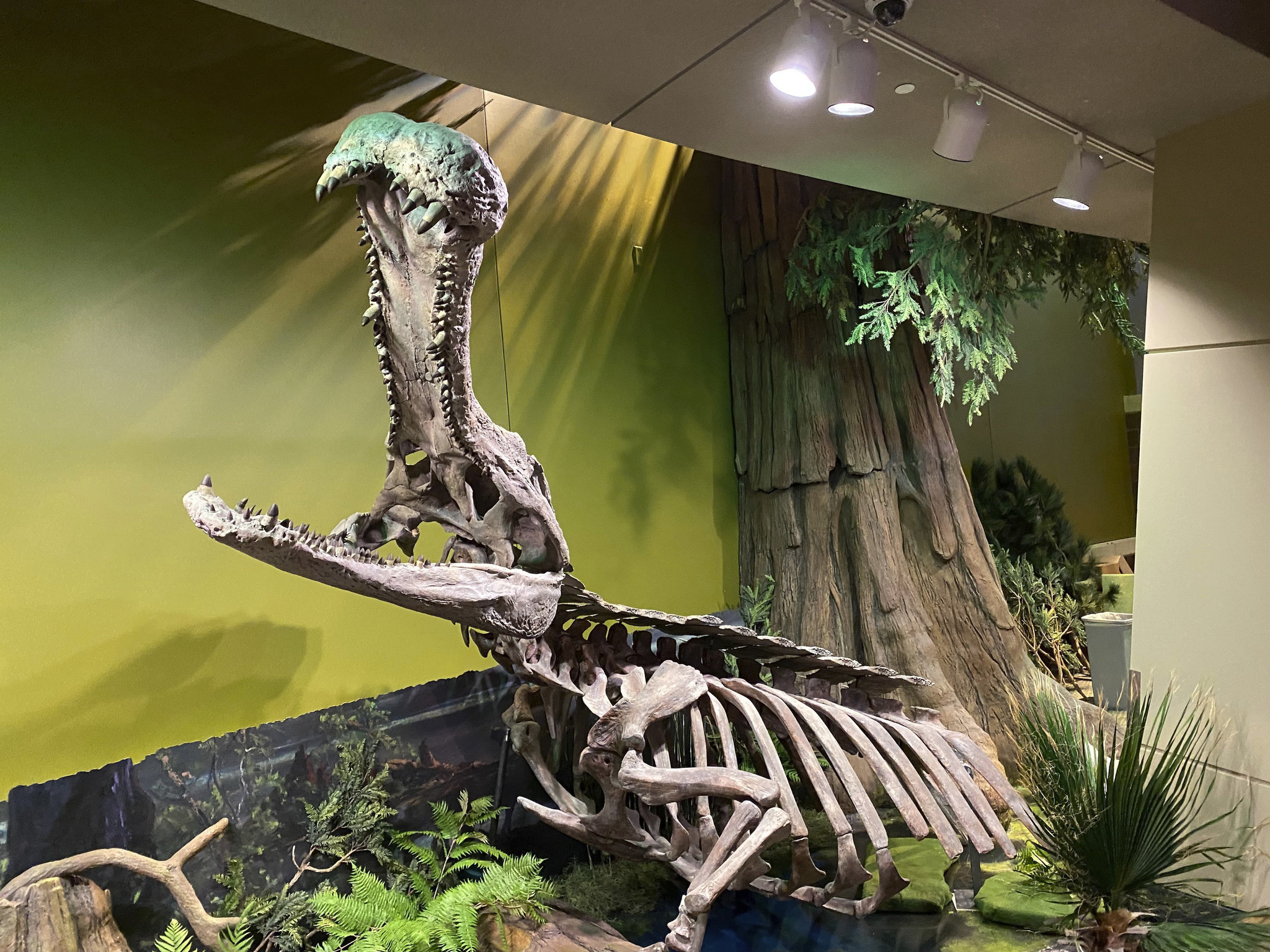 Dinosaurs with Cave – The Children's Museum of Indianapolis Store