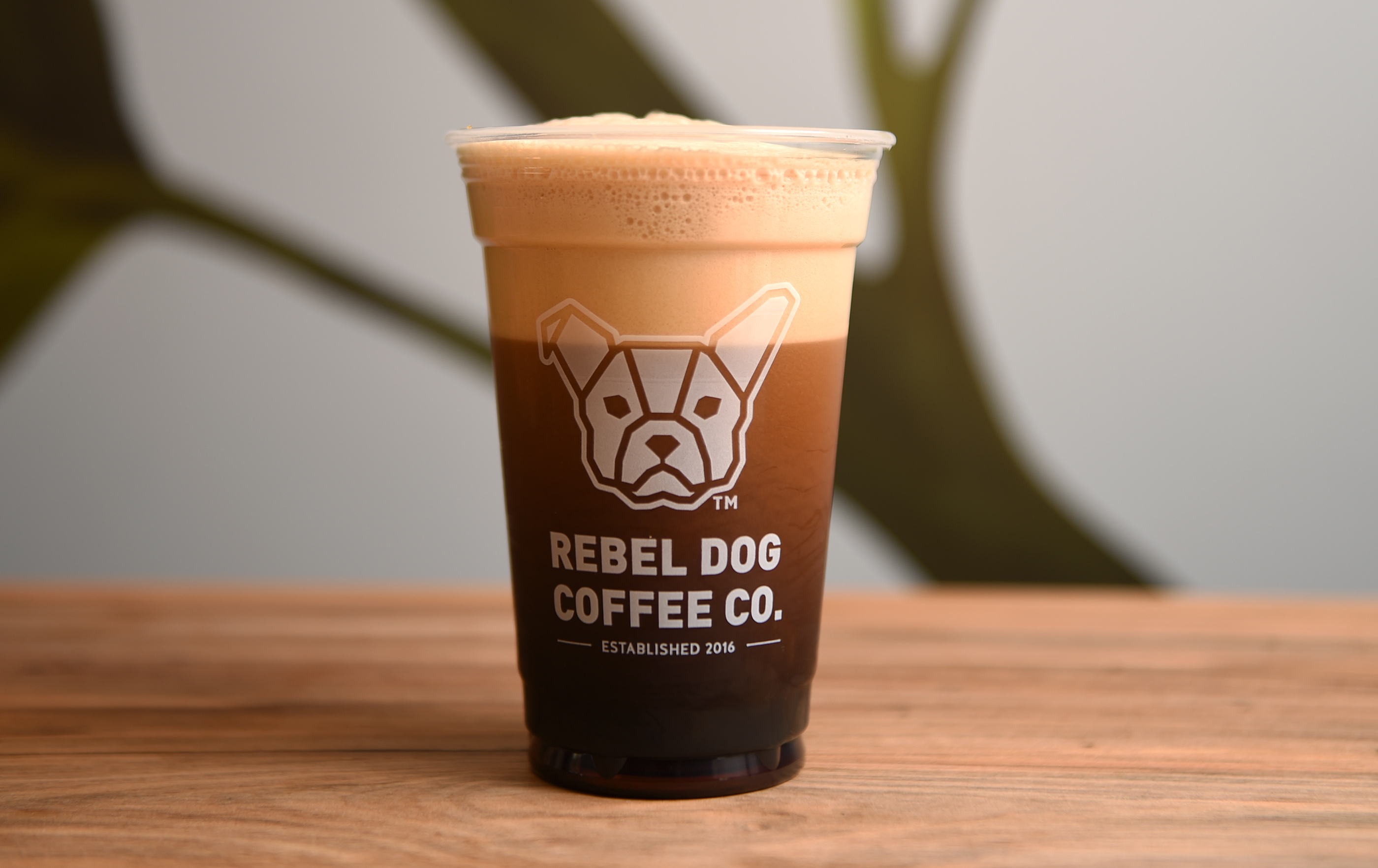 rebel dog coffee east hartford