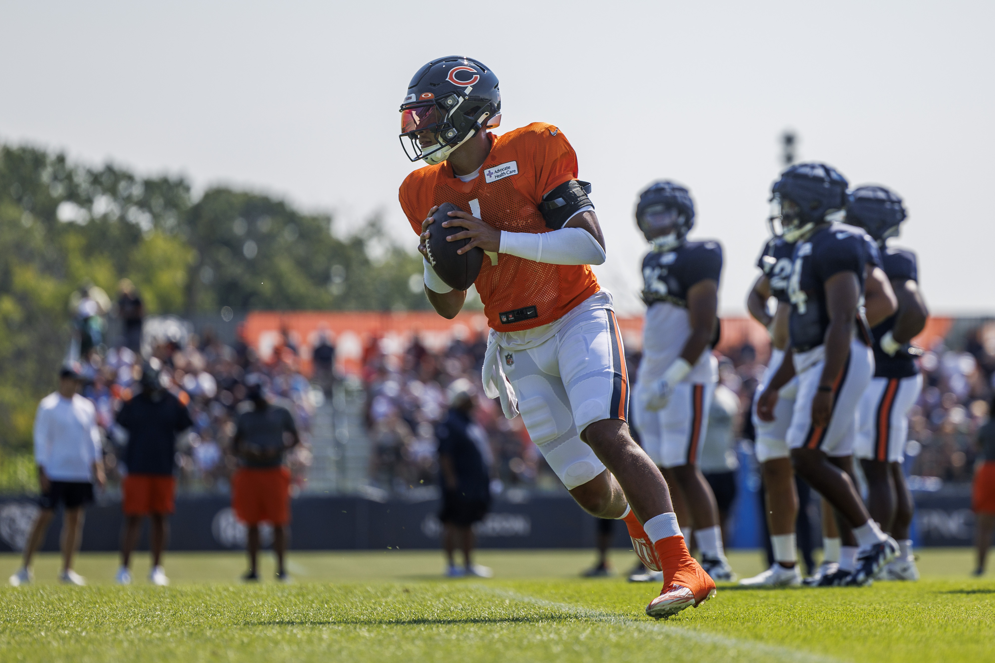 chicago bears camp