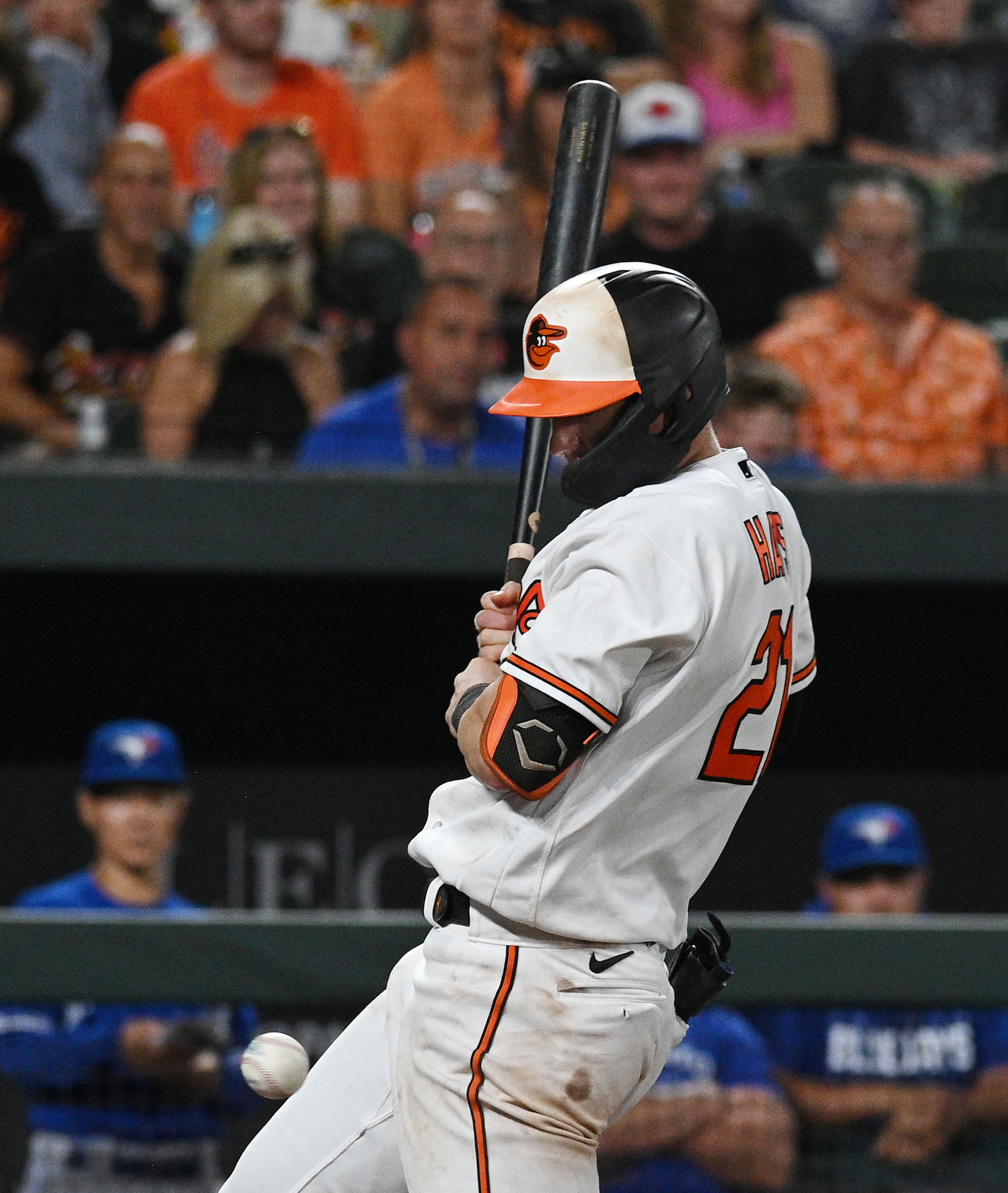 Notes on some Orioles promotions, Gibson and new Hall of Fame inductee -  Blog