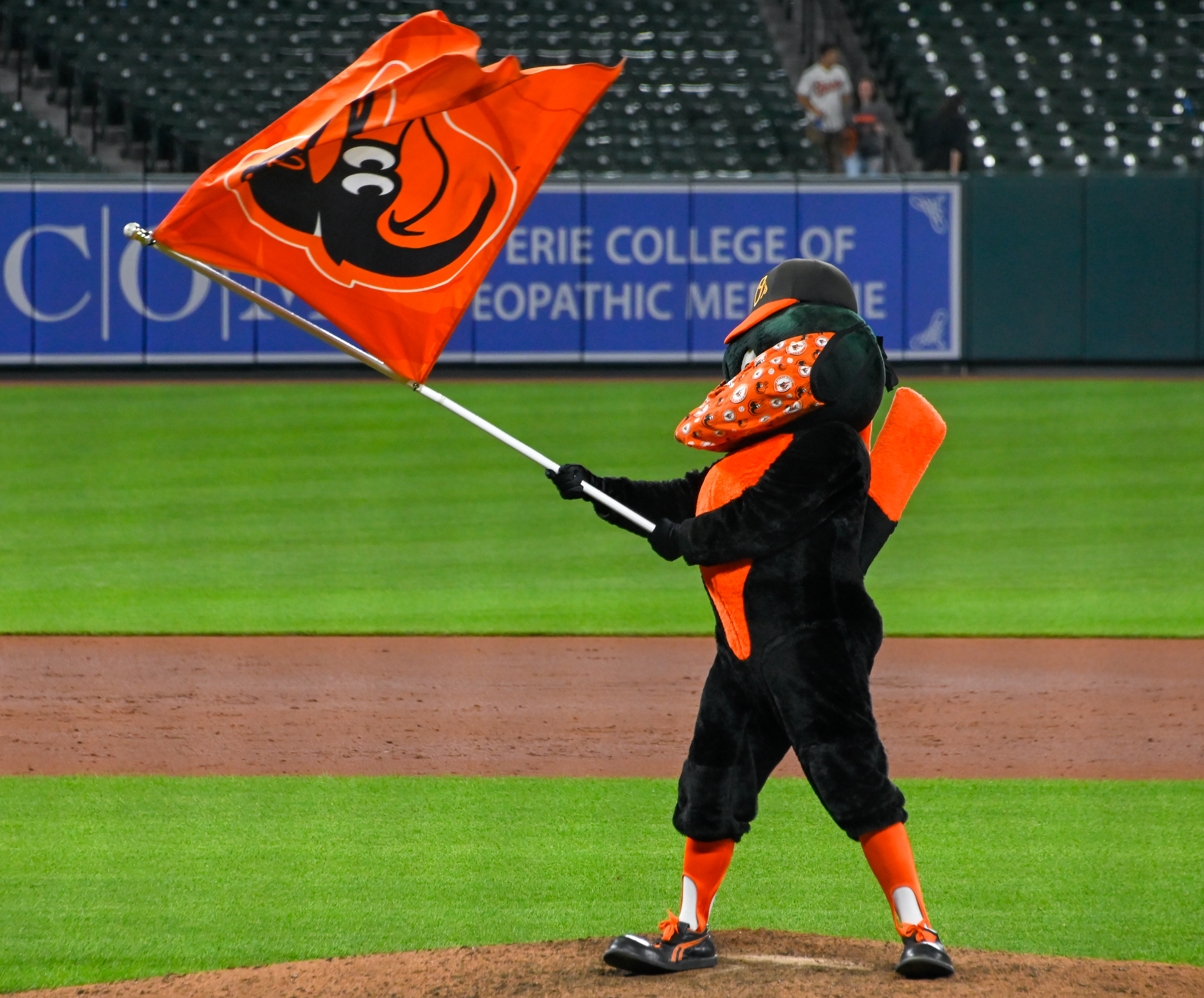 Oriole Mascot  Baltimore orioles baseball, Mascot, Orioles baseball