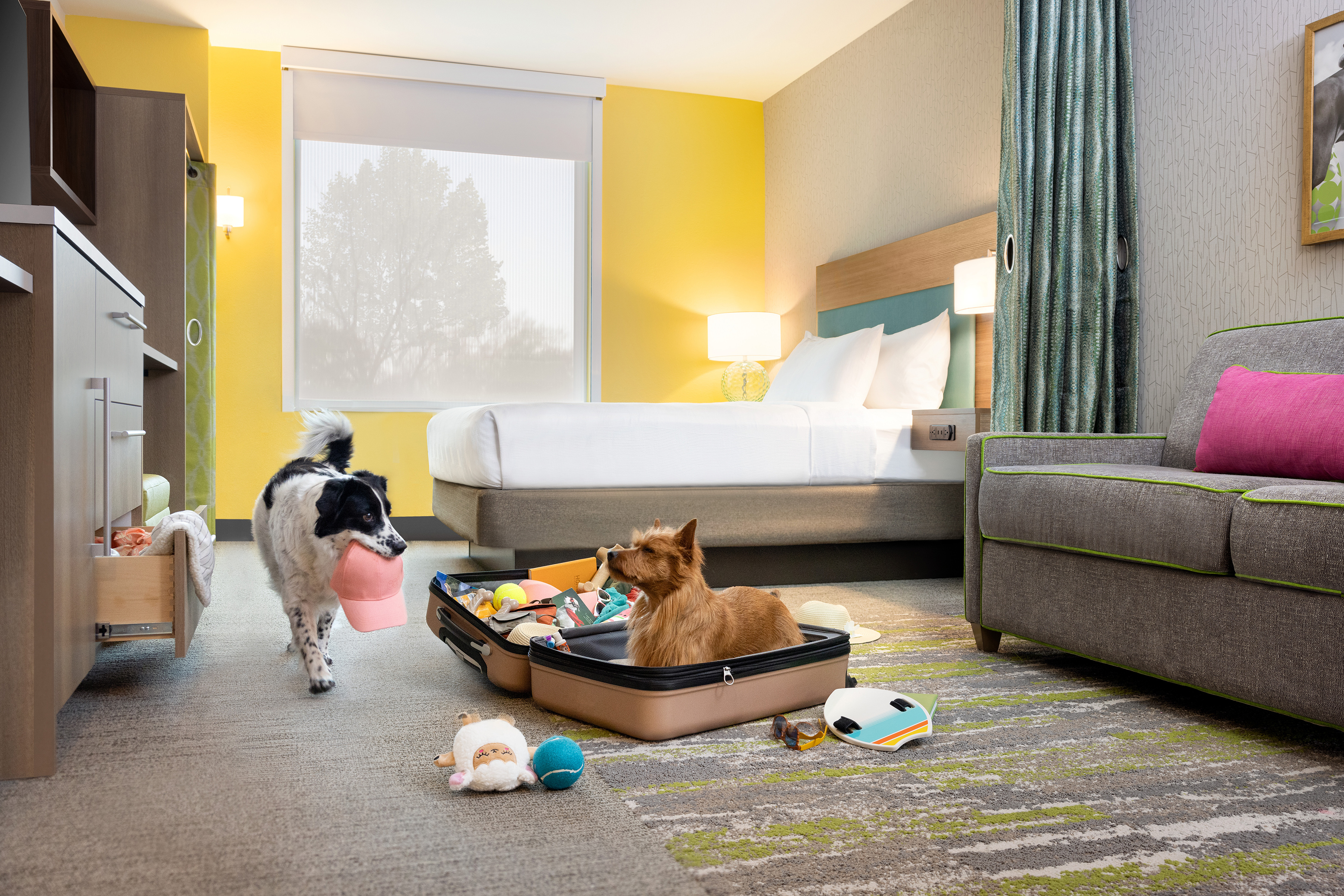 The best dog-friendly hotels with posh amenities for pets
