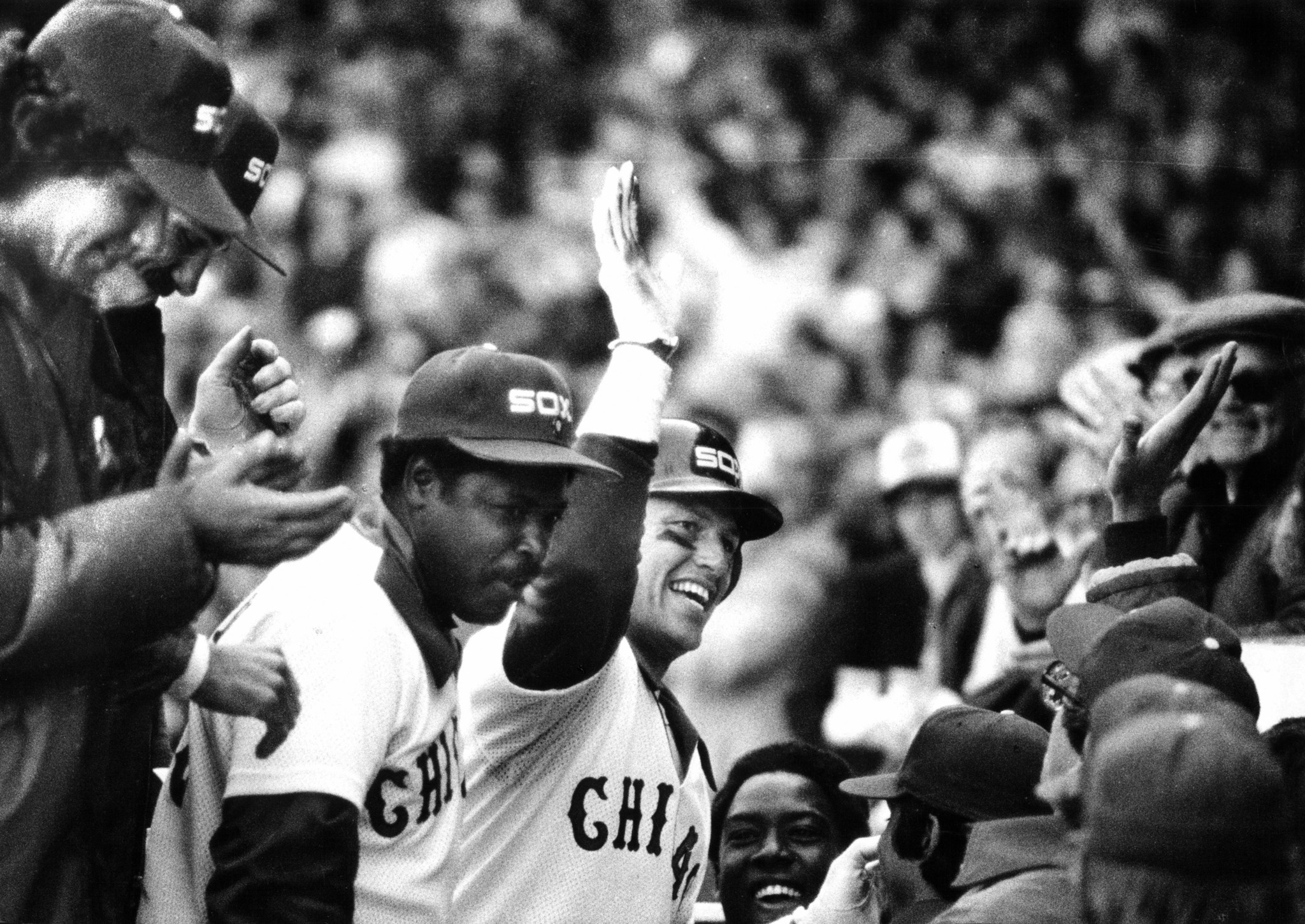 40 years ago today, the White Sox wore shorts for a game