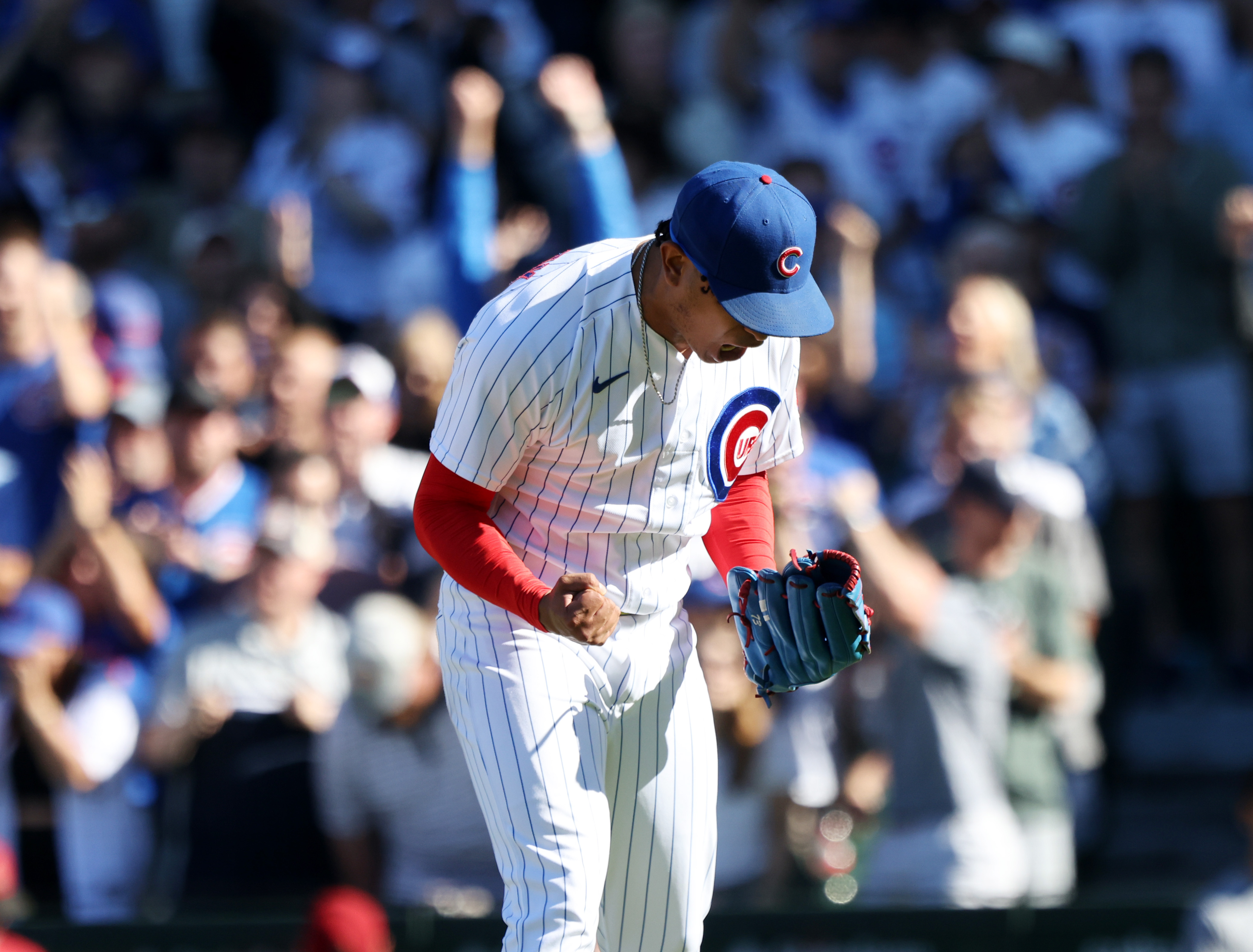 Chicago Cubs on X: The #Cubs today activated RHP Adbert Alzolay