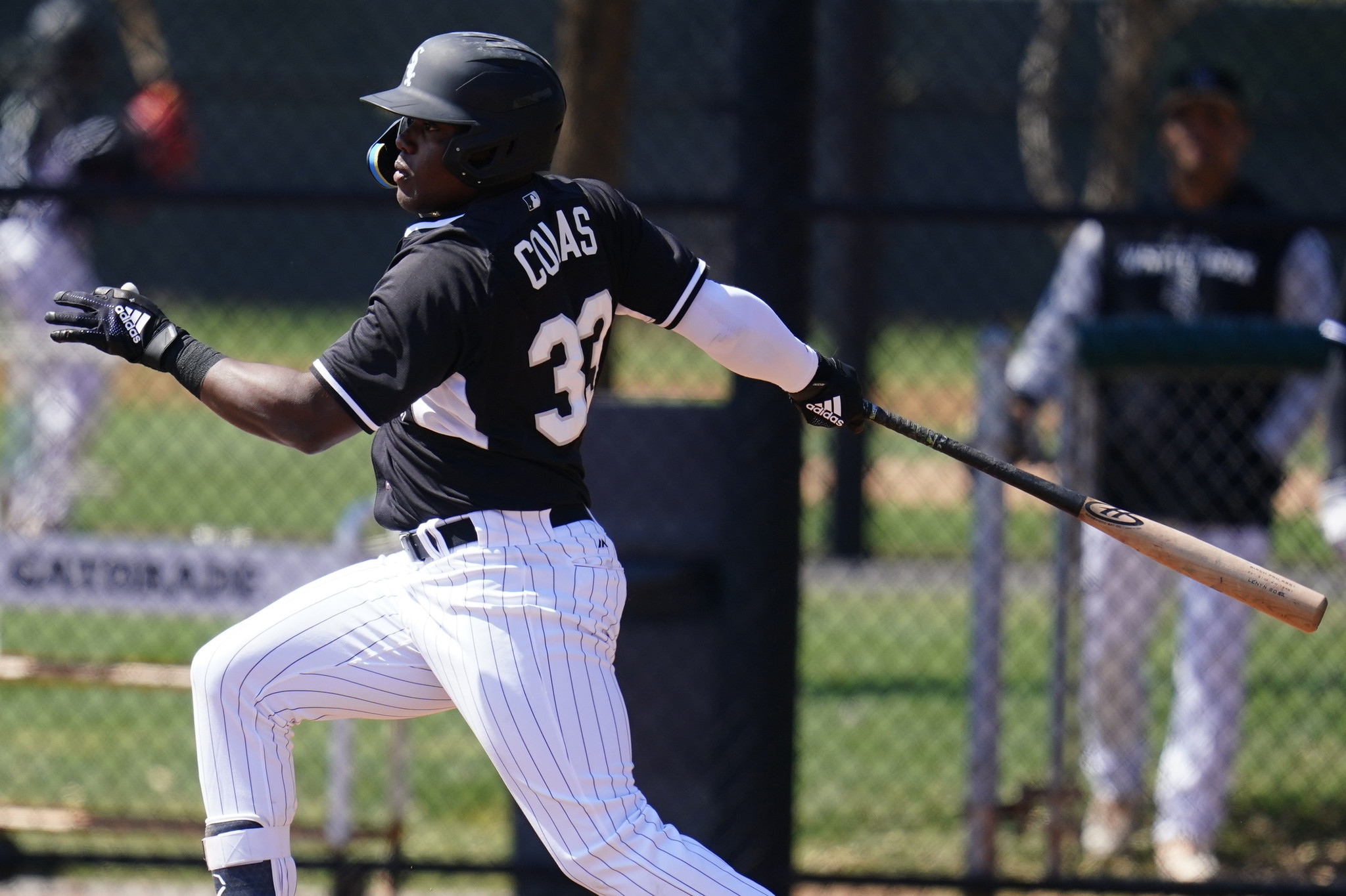 White Sox prospect Luis Robert continues to tear up minor-league pitching -  Chicago Sun-Times