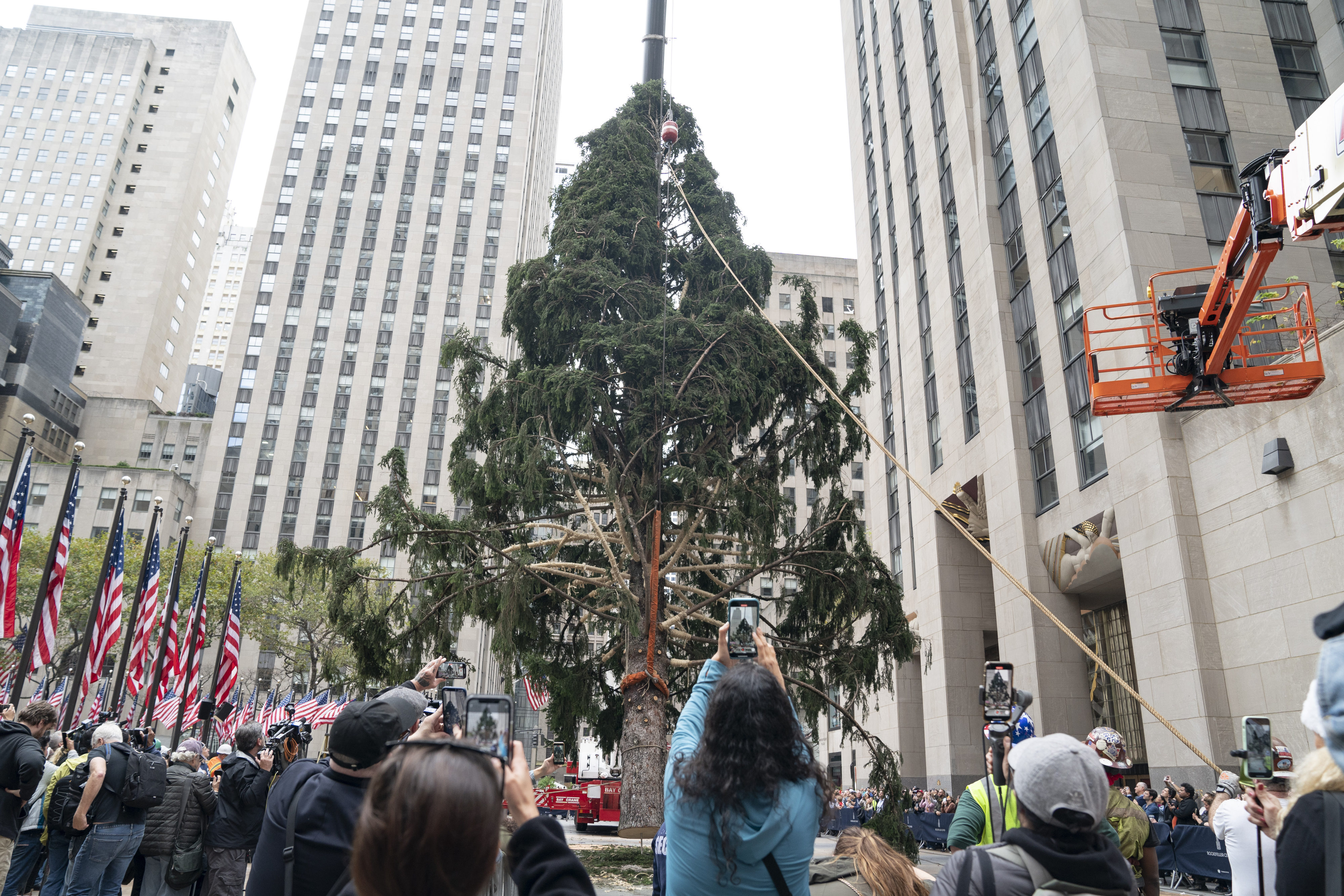 Rockefeller Center's 2022 Christmas tree arrives in New York City