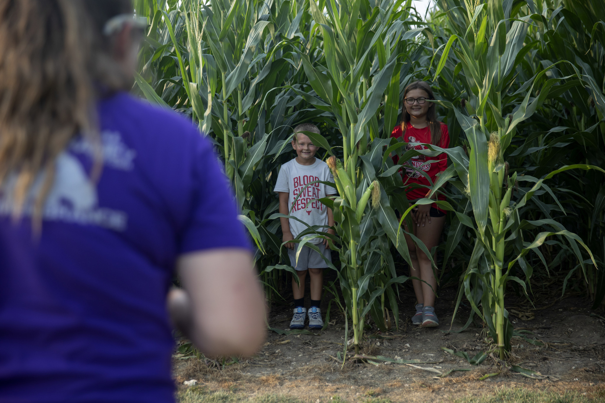 Photos: Field of Dreams game brings Hollywood to Midwest