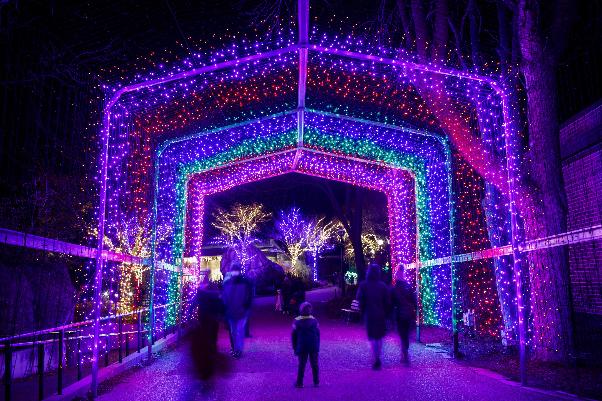 The annual ZooLights Lincoln Park Zoo –