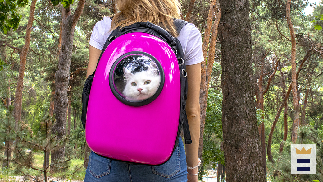 Best cat backpacks – Chicago Tribune
