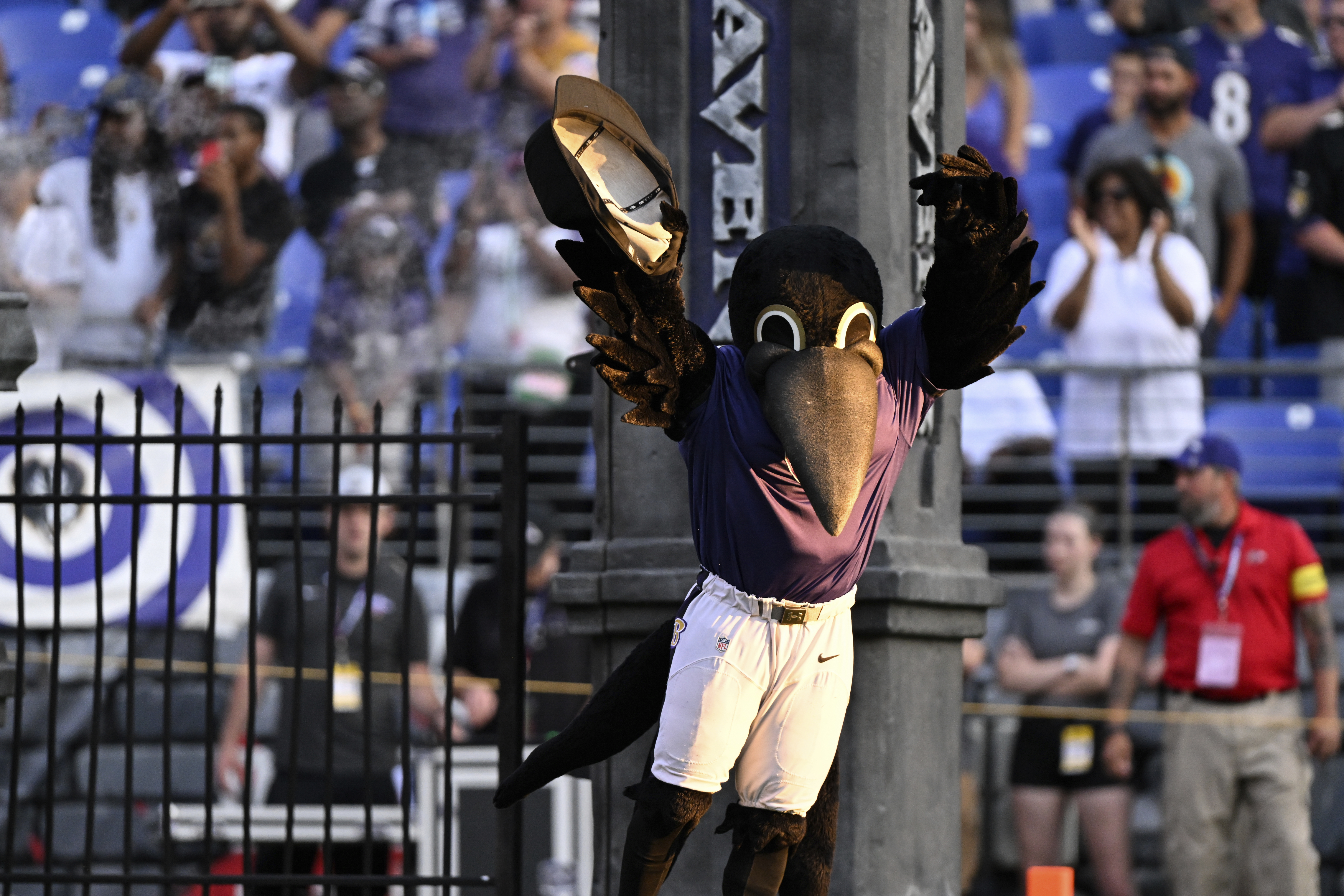 Baltimore Ravens Mascot Poe Carted Off Field After Injury During